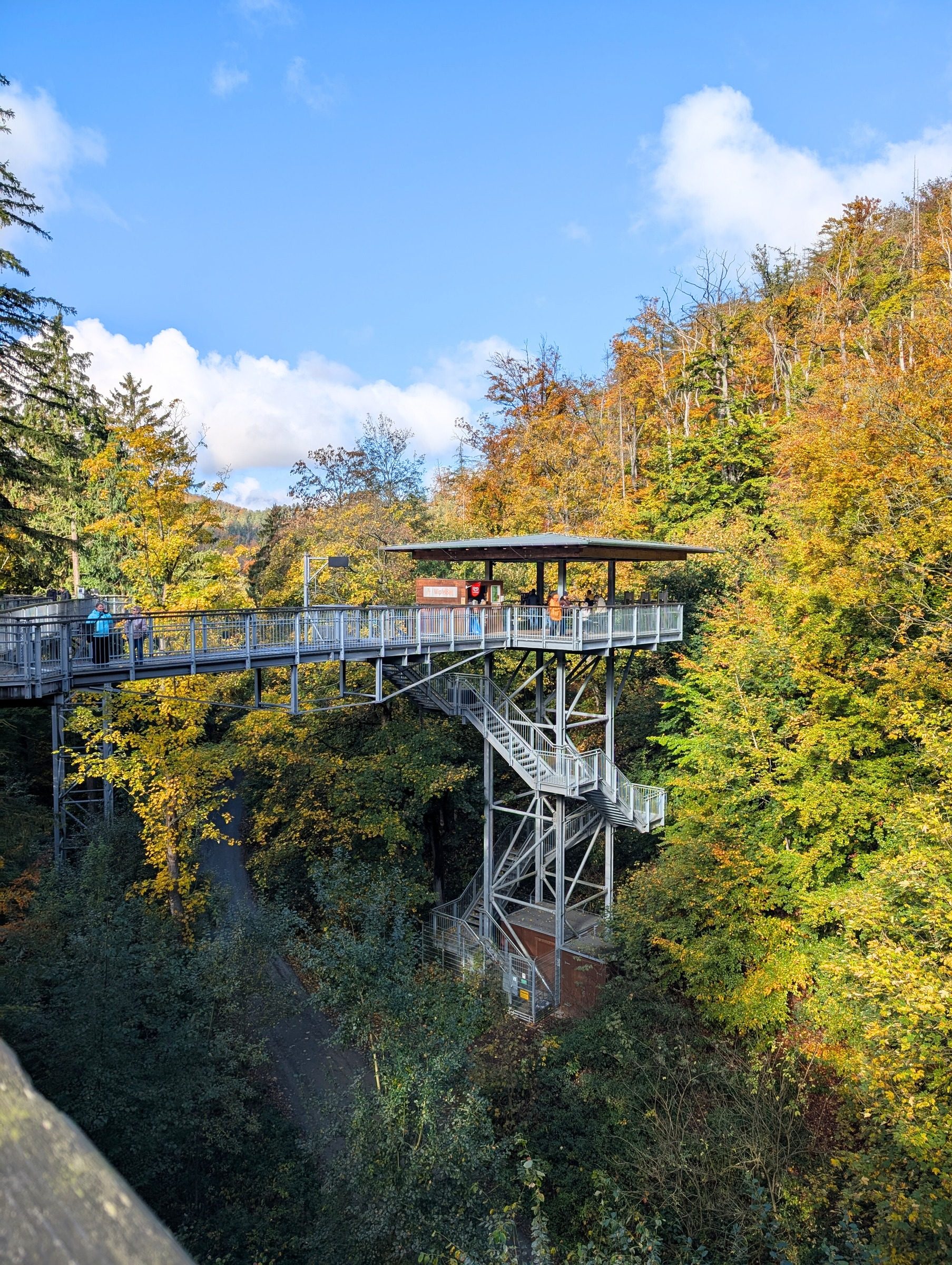 Baumwipfelpfad Harz – Ausflug mit Kindern, Foto 5