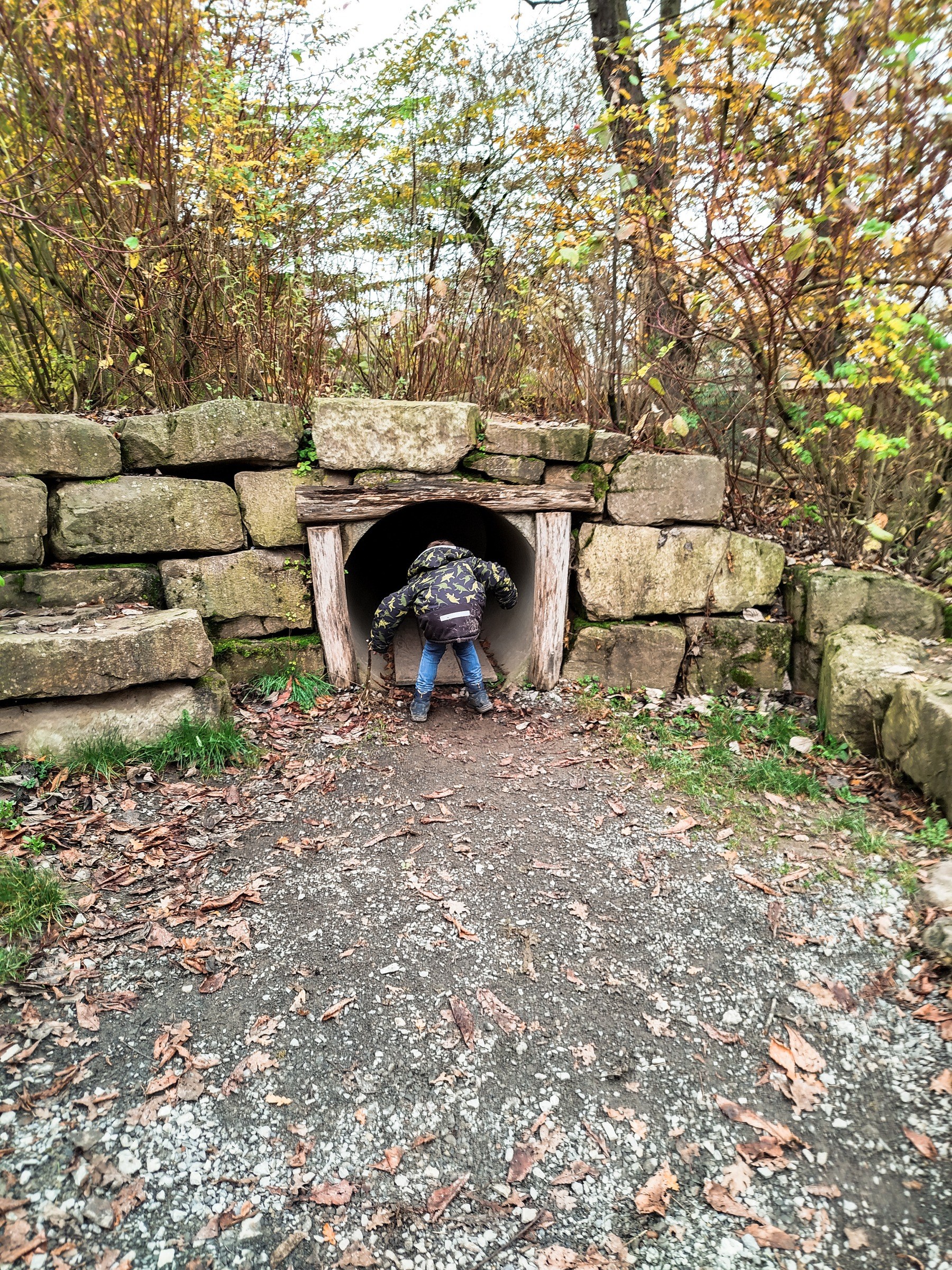 Tierpark Sababurg in Hofgeismar – Ausflug mit Kindern, Foto 3