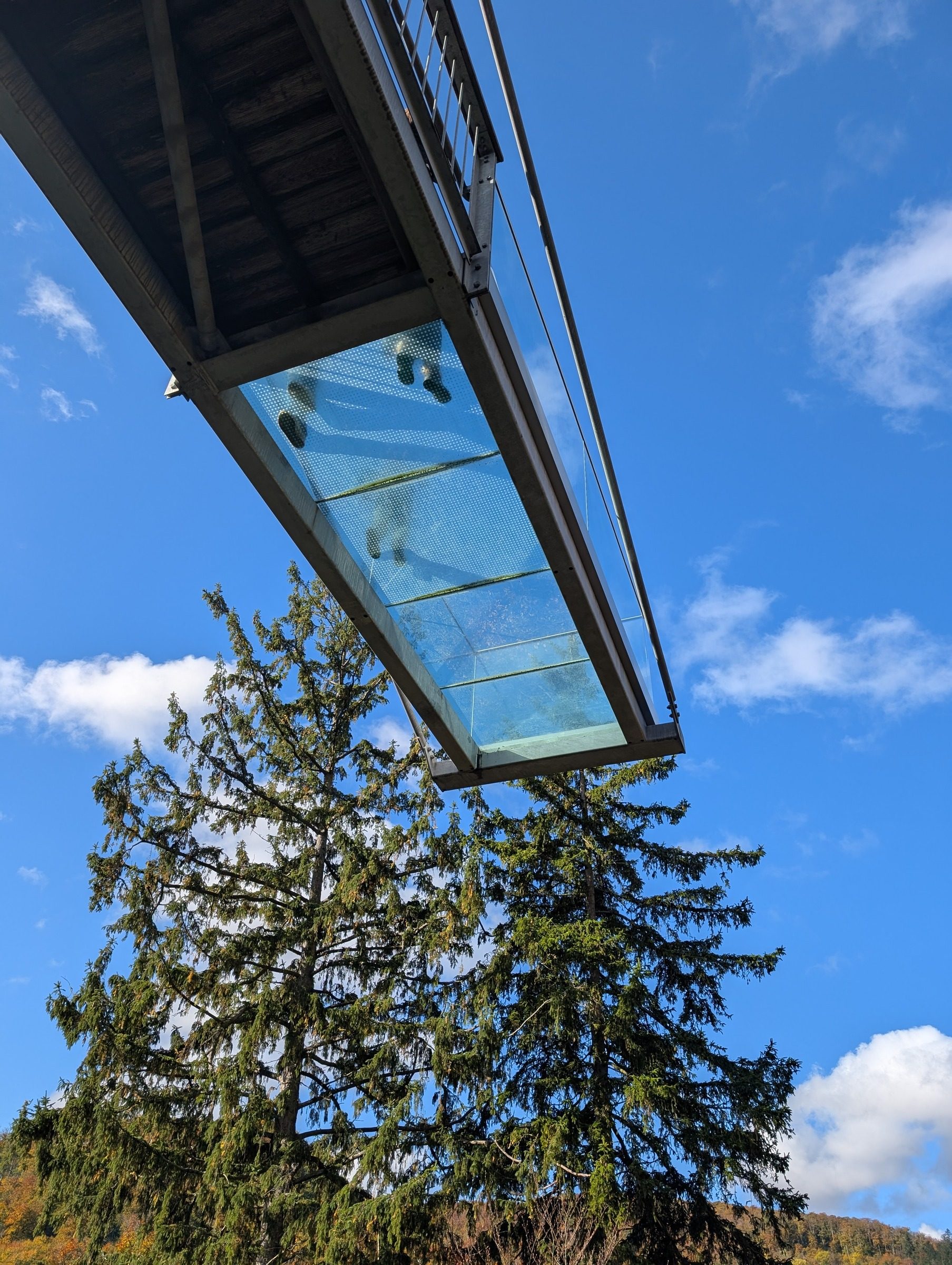 Baumwipfelpfad Harz – Ausflug mit Kindern, Foto 6