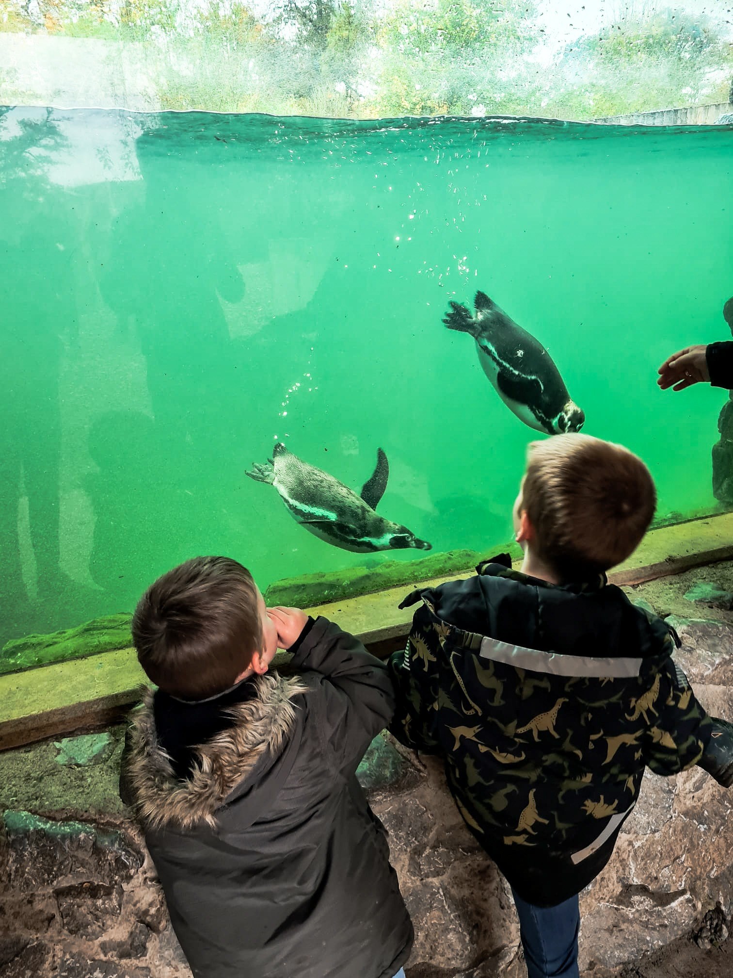 Tierpark Sababurg in Hofgeismar – Ausflug mit Kindern, Foto 4