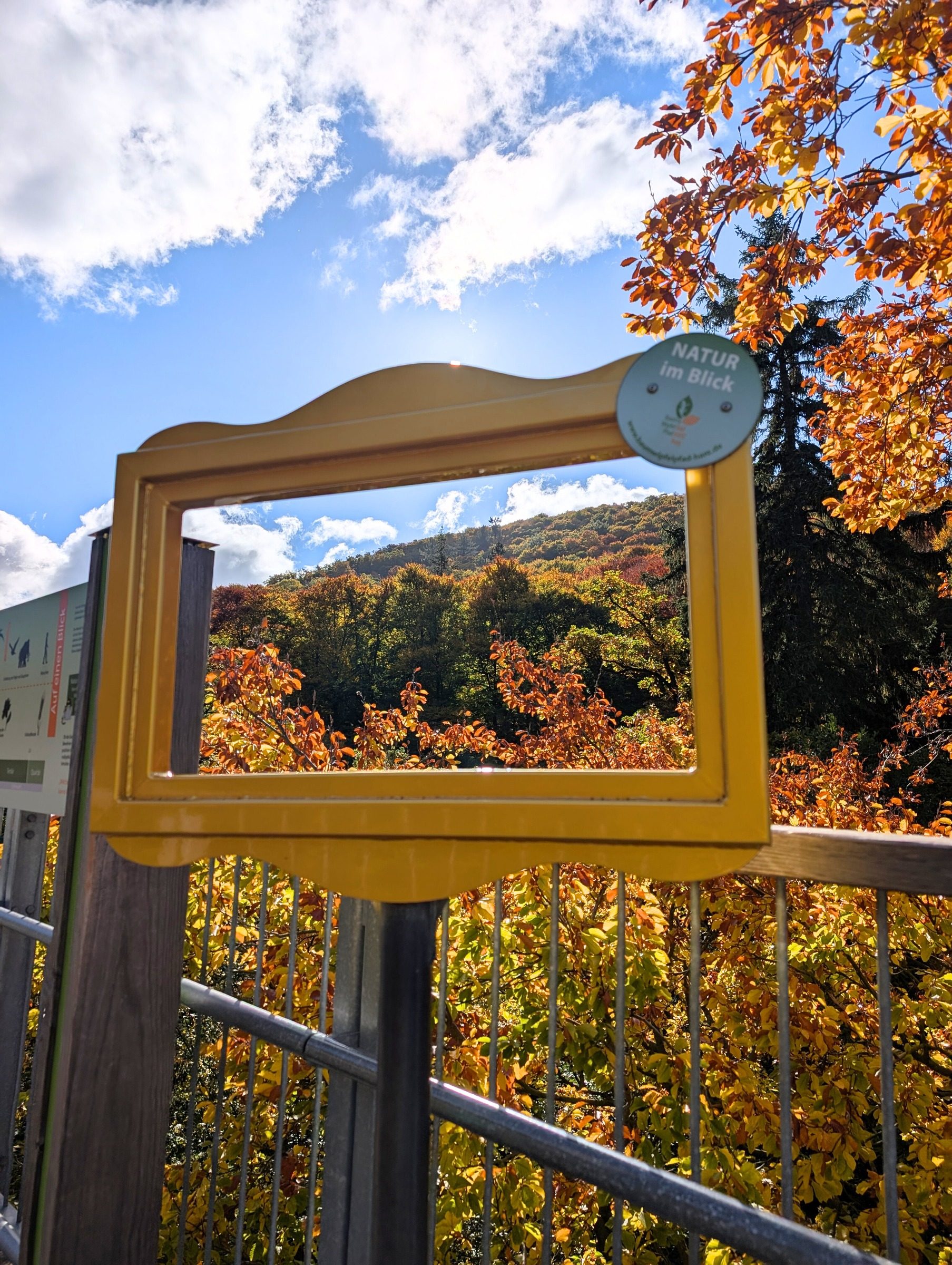 Baumwipfelpfad Harz – Ausflug mit Kindern, Foto 7
