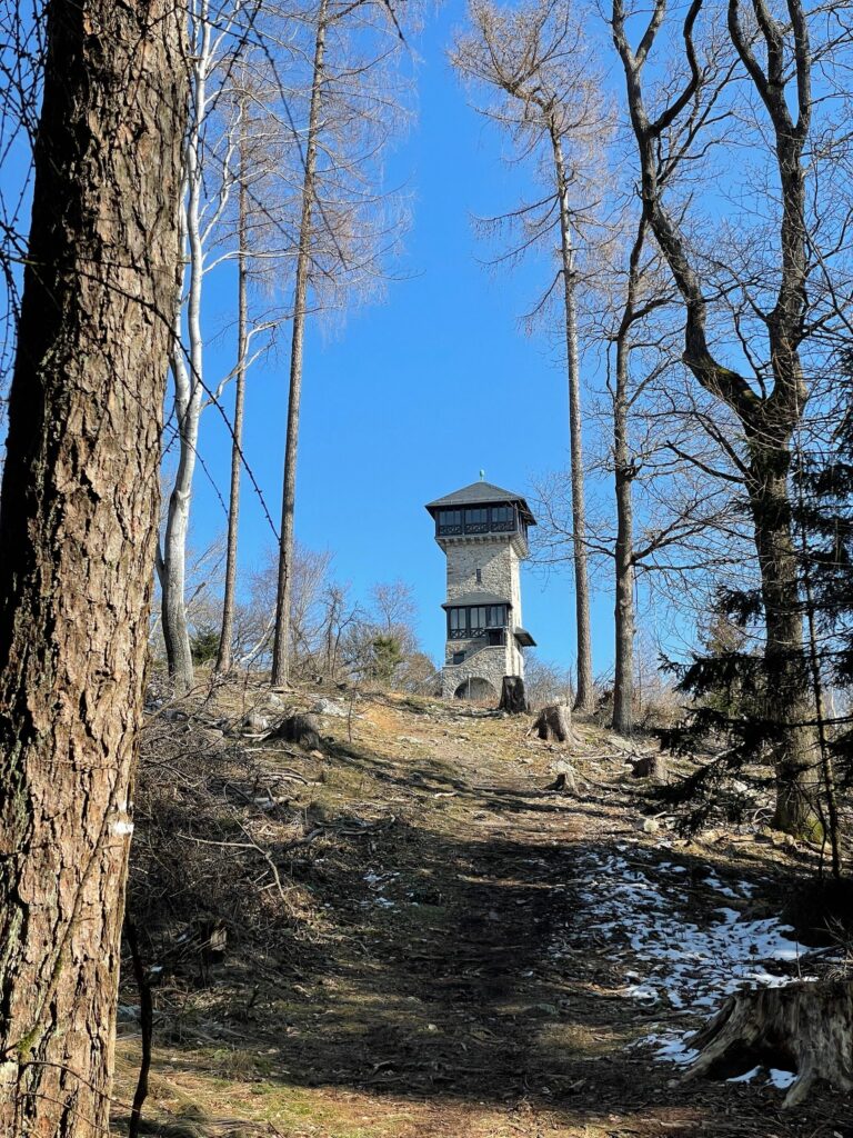 Herzbergturm im Taunus