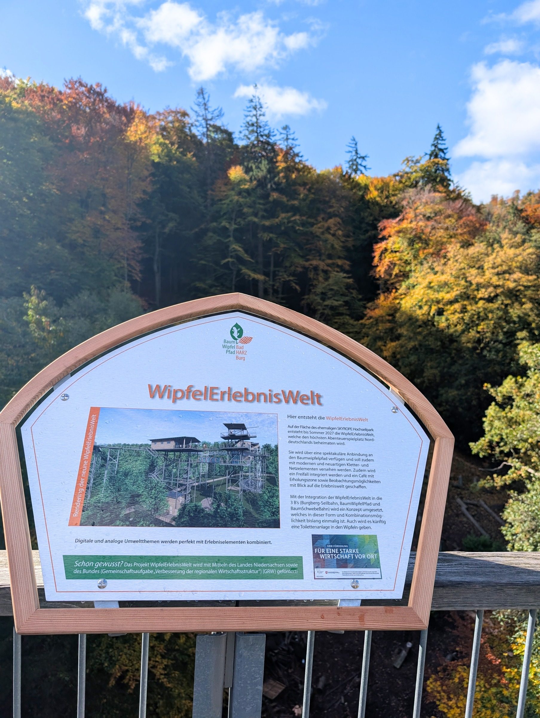 Baumwipfelpfad Harz – Ausflug mit Kindern, Foto 8