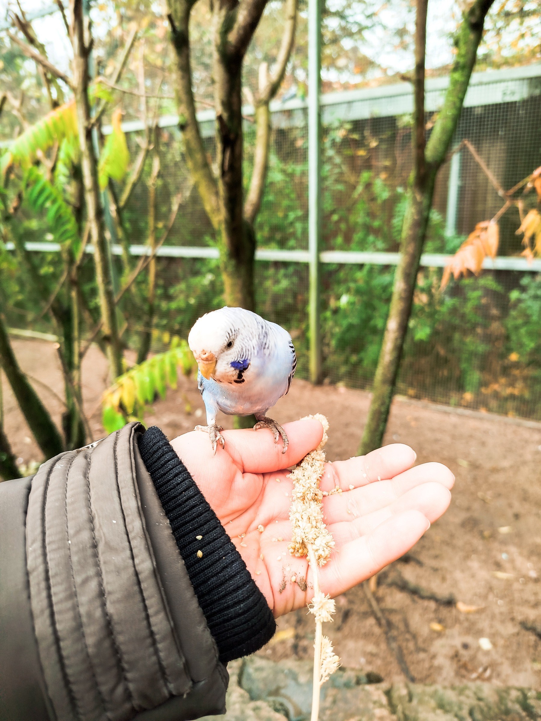 Tierpark Sababurg in Hofgeismar – Ausflug mit Kindern, Foto 8