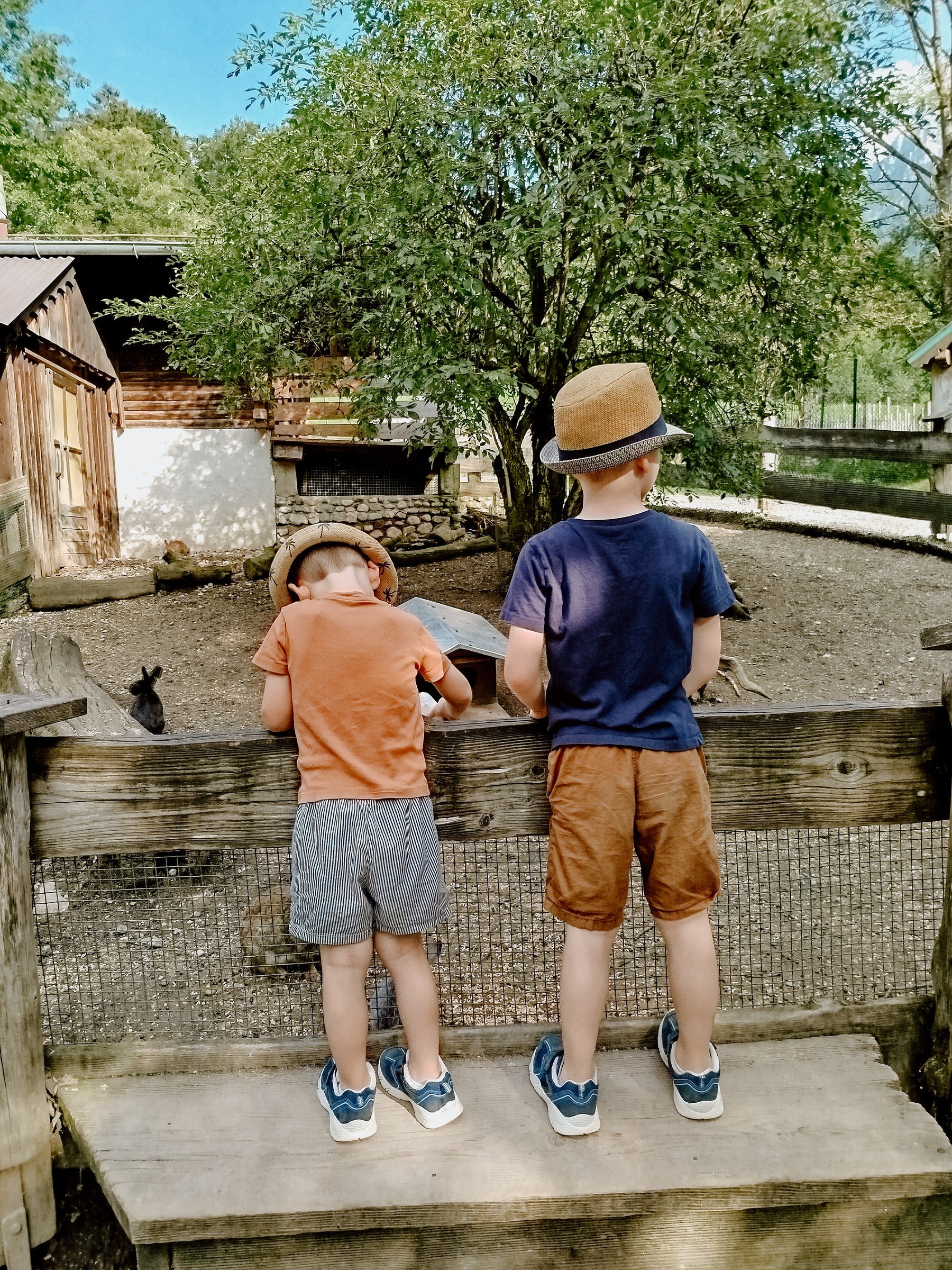 Raritätenzoo in Ebbs – Ausflug mit Kindern, Foto 5