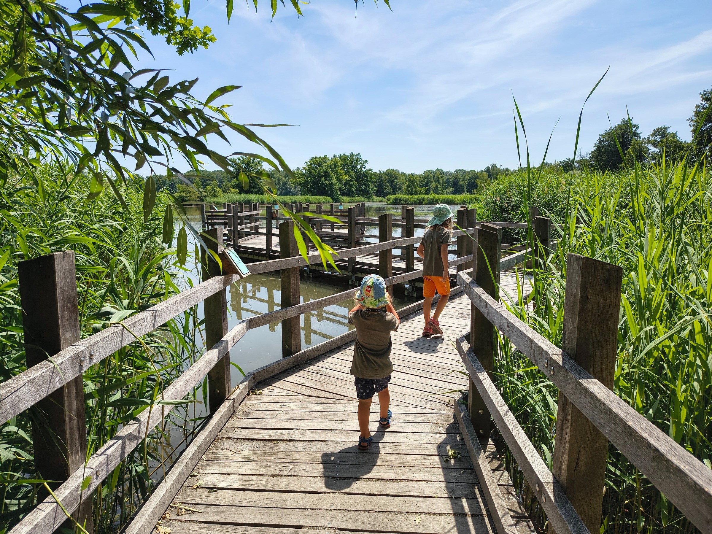 Naturerlebnispfad Oberlausitzer Teiche – Ausflug mit Kindern, Foto 5