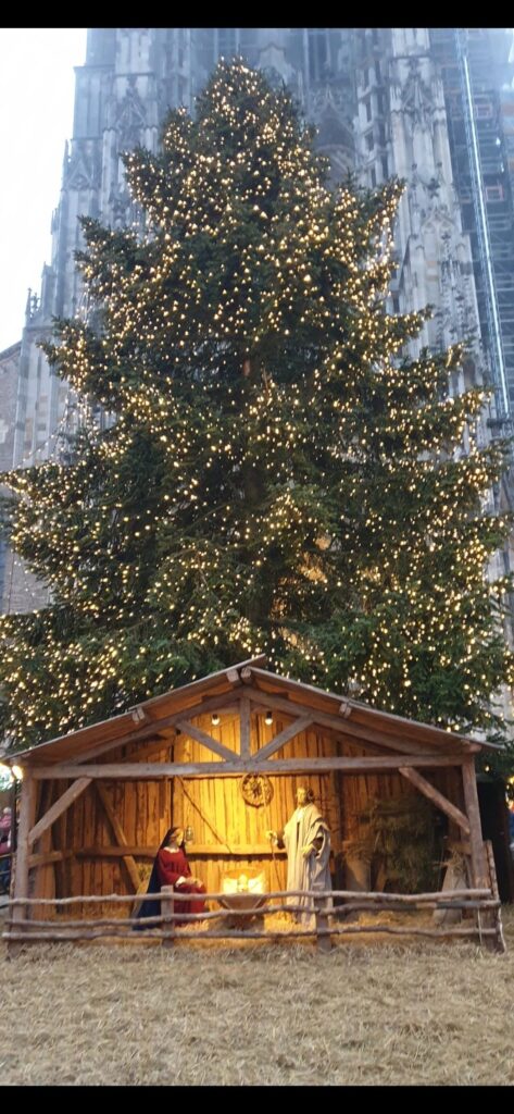 Weihnachtszauber rund ums Ulmer Münster