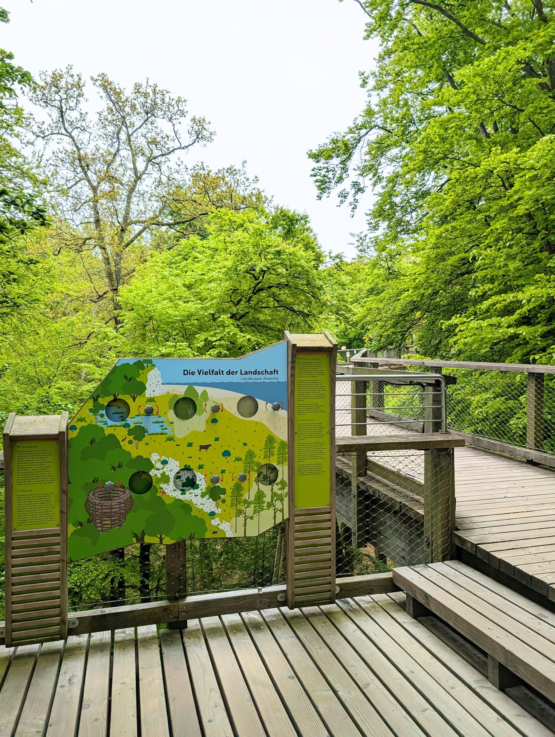 Baumwipfelpfad Rügen – Ausflug mit Kindern, Foto 2