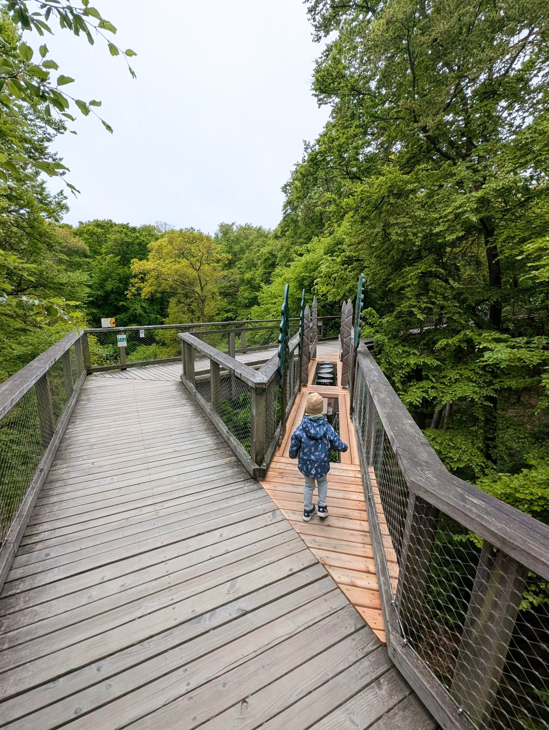 Baumwipfelpfad Rügen – Ausflug mit Kindern, Foto 3