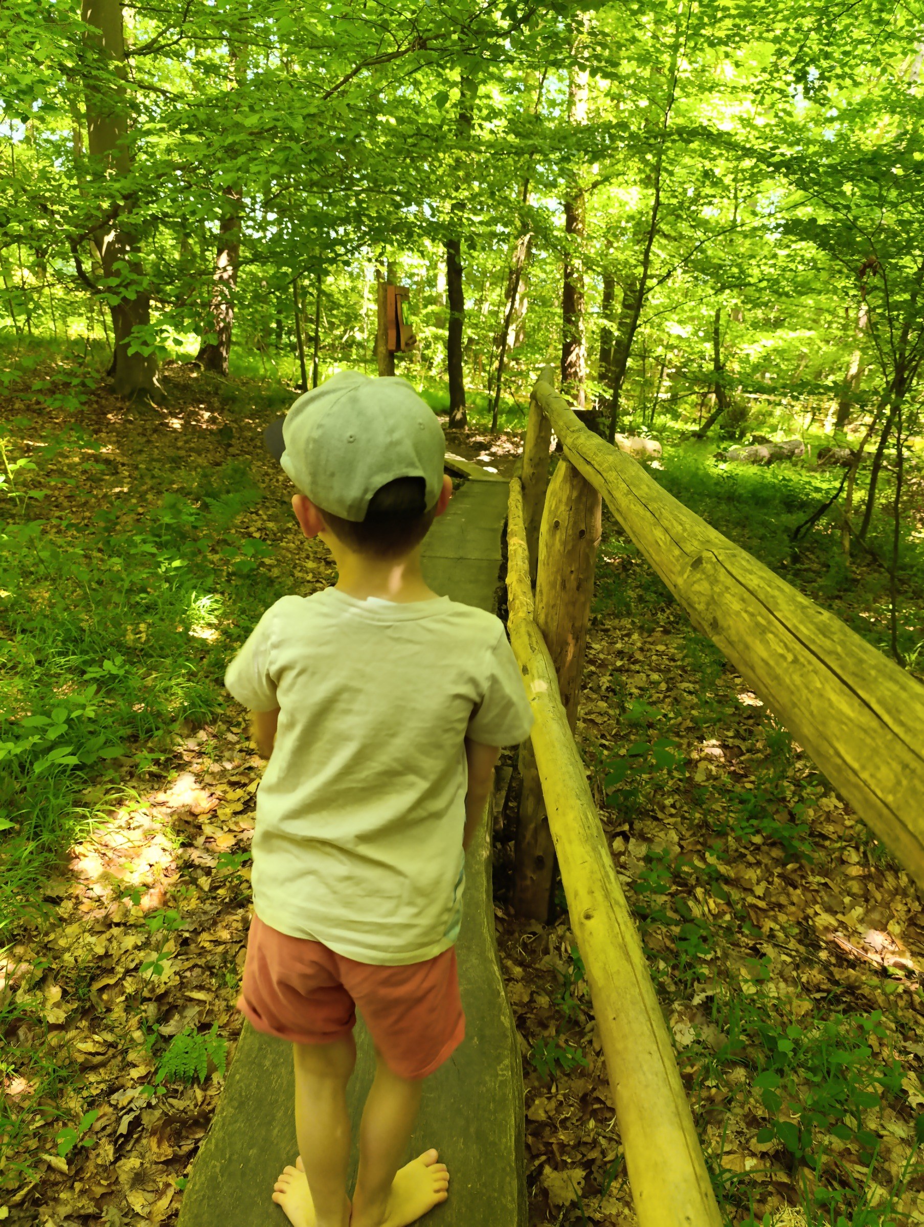 Barfußpfad am Hohen Meißner – Ausflug mit Kindern, Foto 3