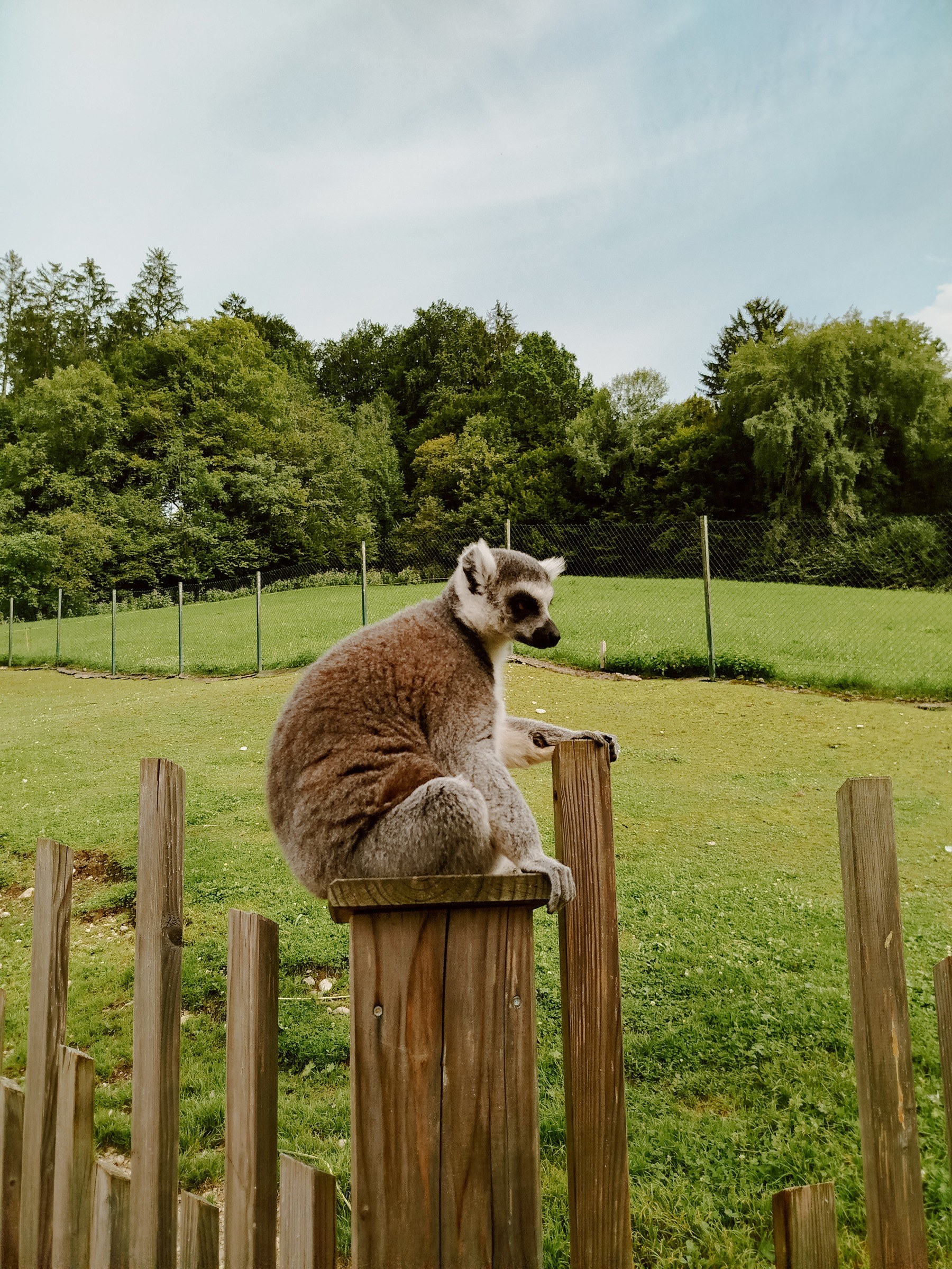 Raritätenzoo in Ebbs – Ausflug mit Kindern, Foto 6