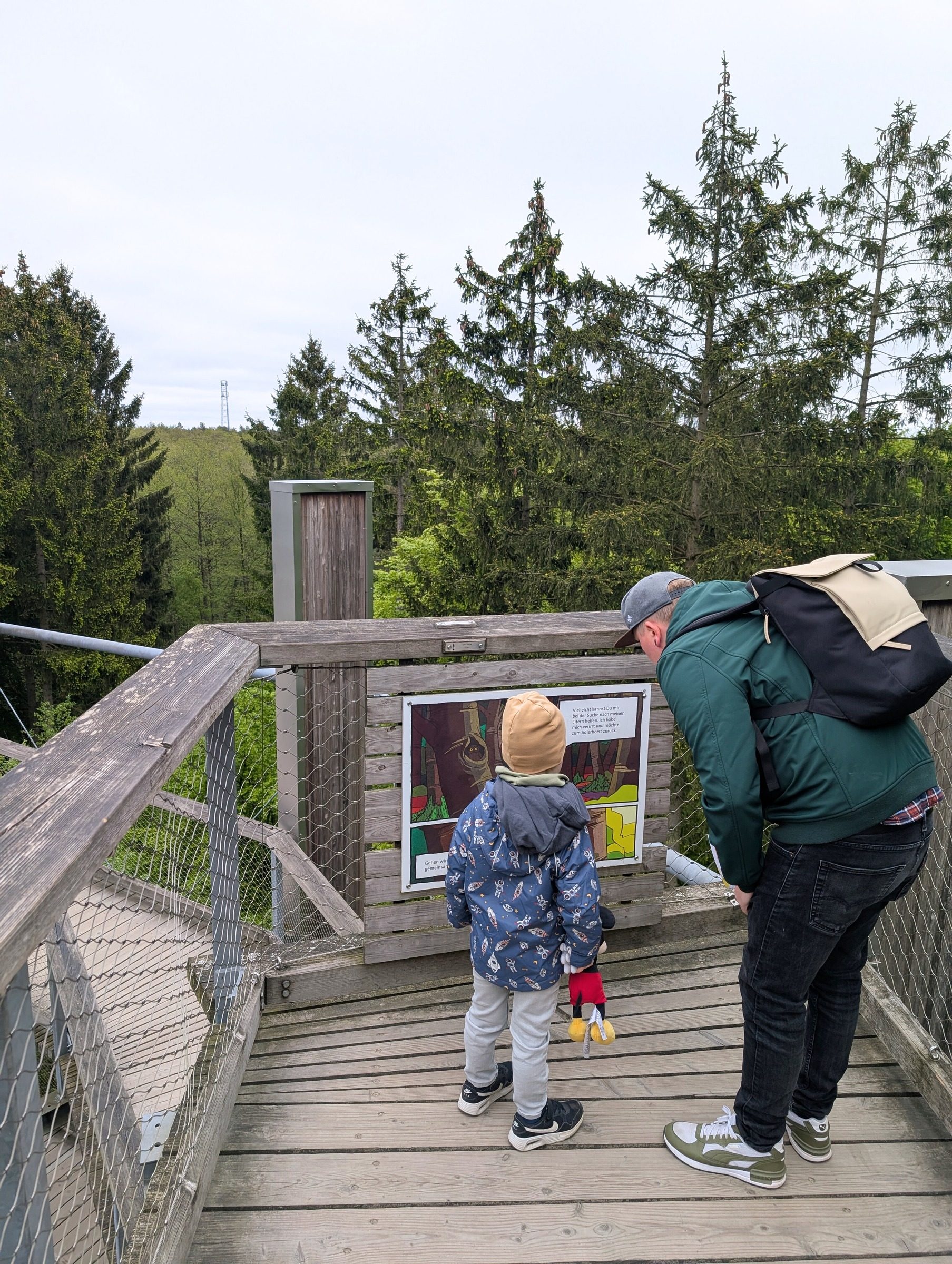 Baumwipfelpfad Rügen – Ausflug mit Kindern, Foto 4