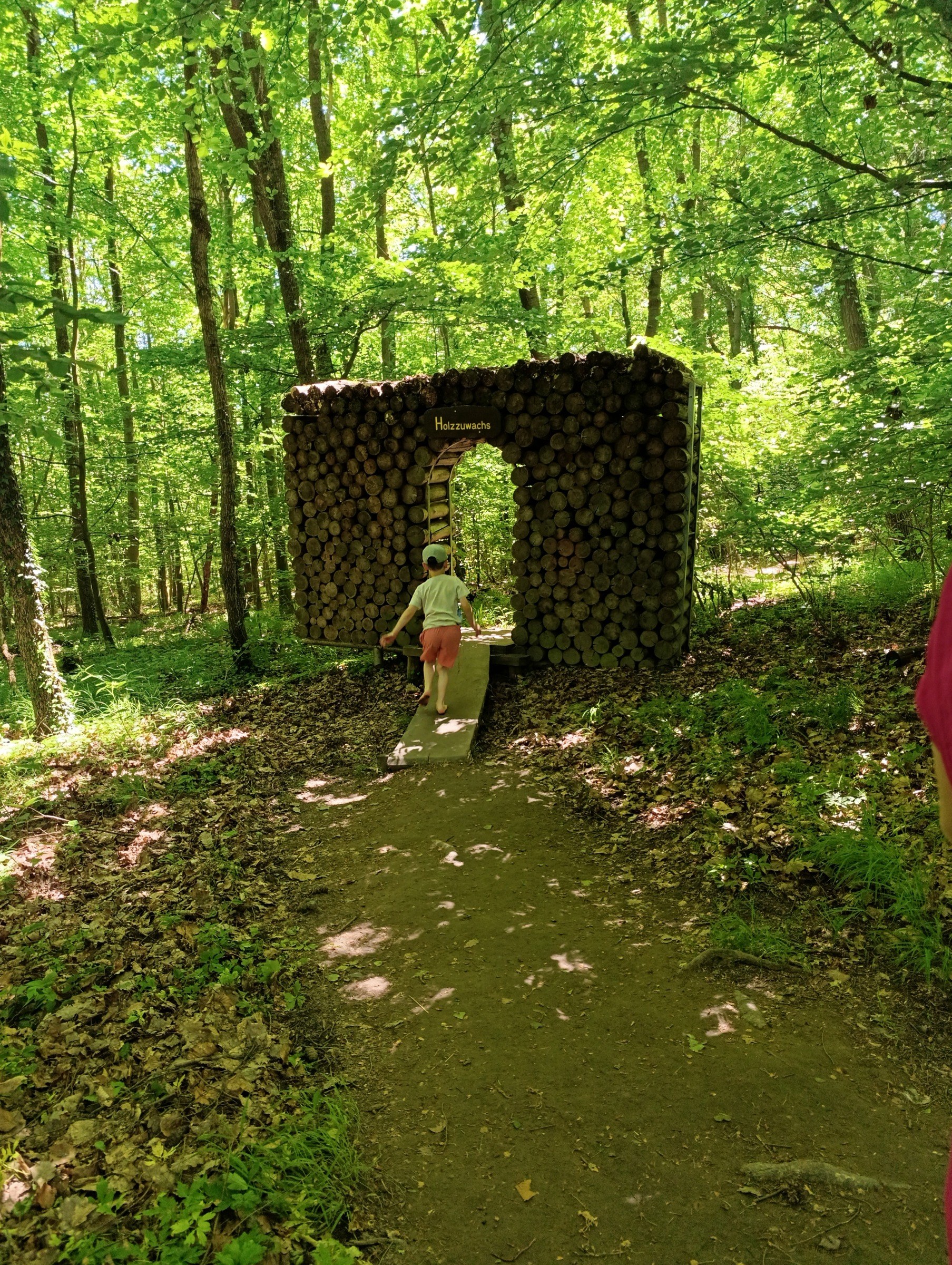 Barfußpfad am Hohen Meißner – Ausflug mit Kindern, Foto 4