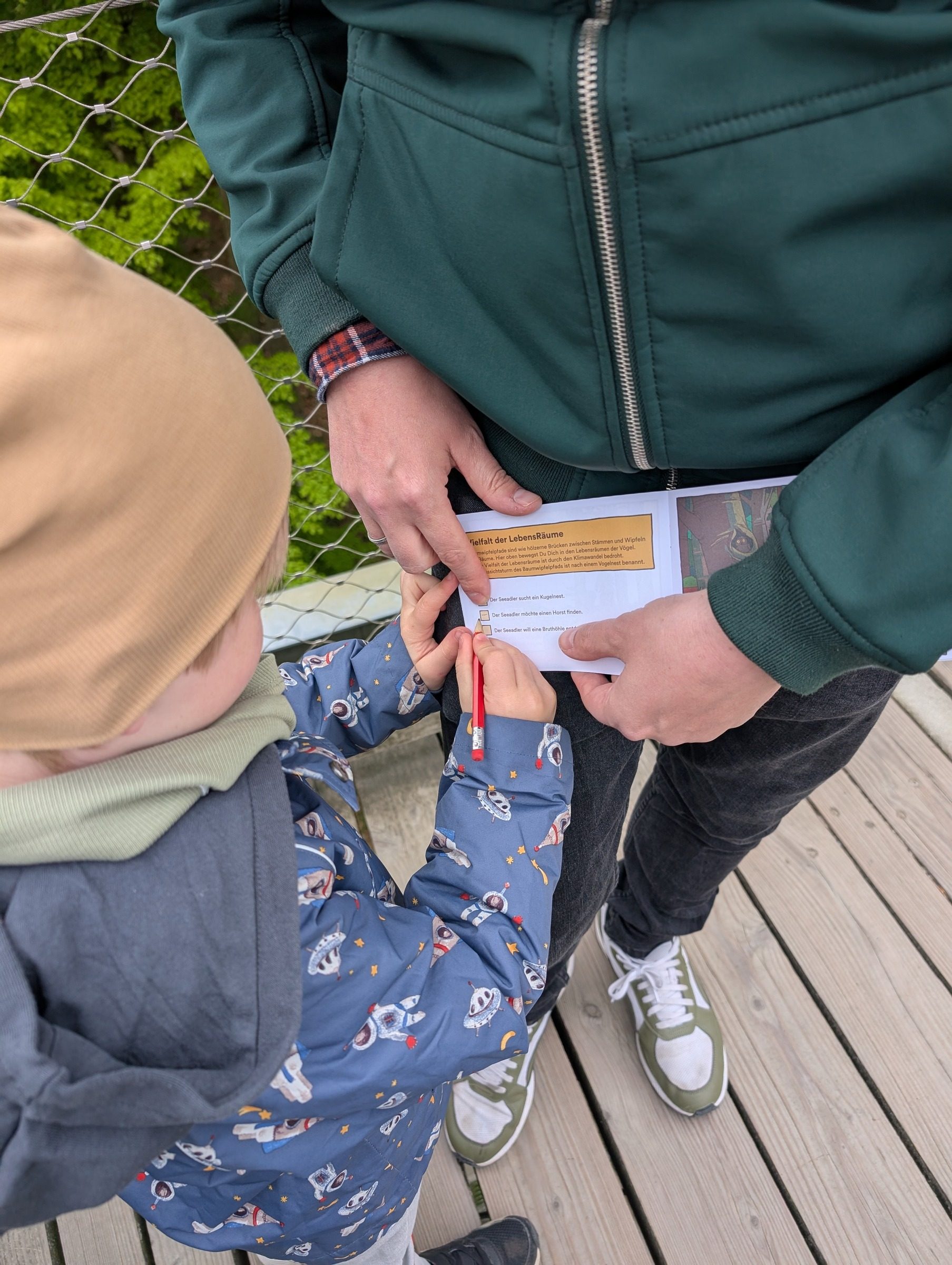 Baumwipfelpfad Rügen – Ausflug mit Kindern, Foto 5