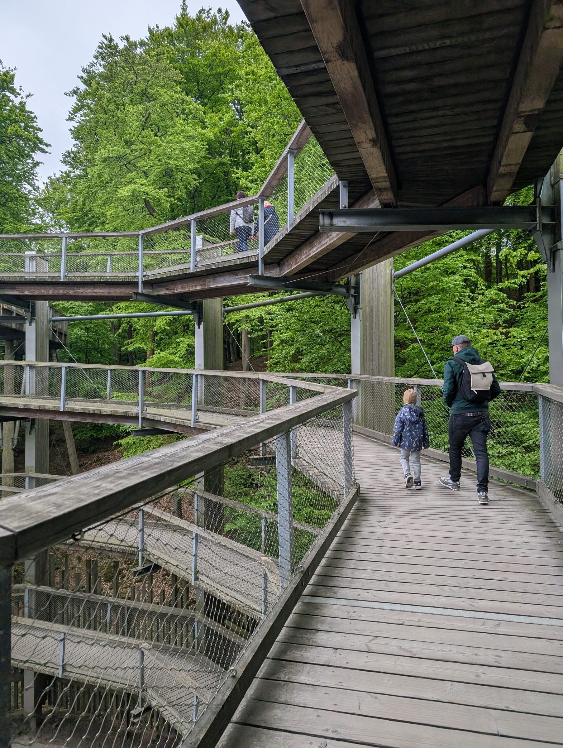 Baumwipfelpfad Rügen – Ausflug mit Kindern, Foto 6