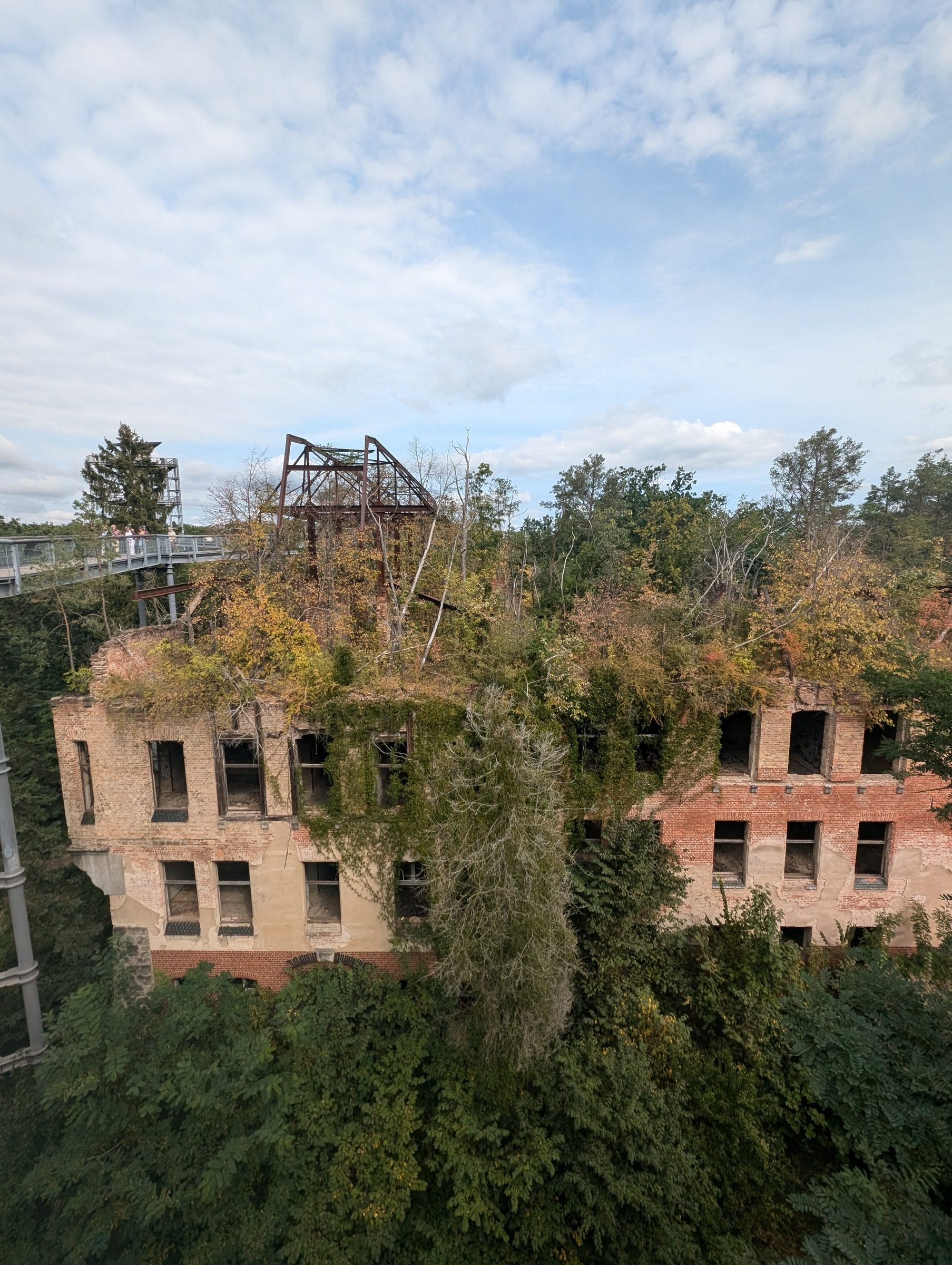 Baumkronenpfad Beelitz – Ausflug mit Kindern, Foto 2