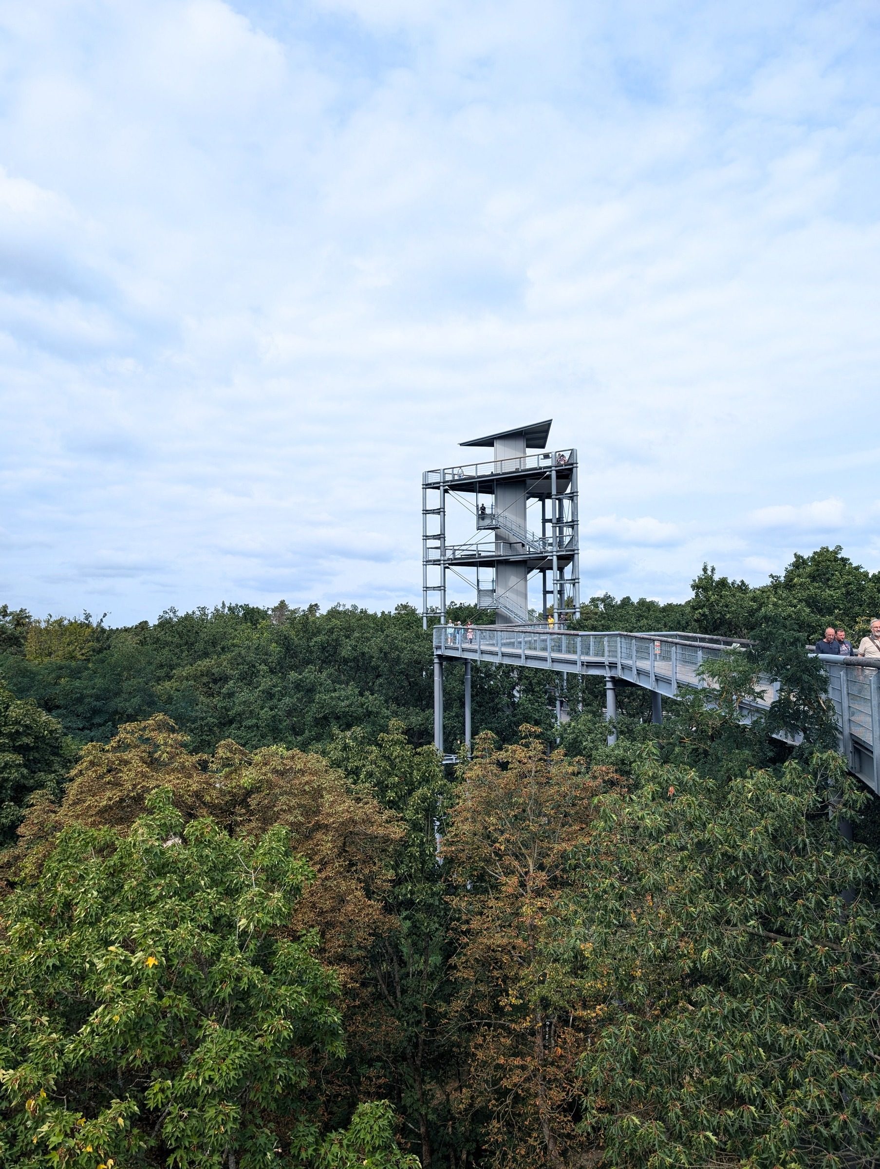 Baumkronenpfad Beelitz – Ausflug mit Kindern, Foto 3