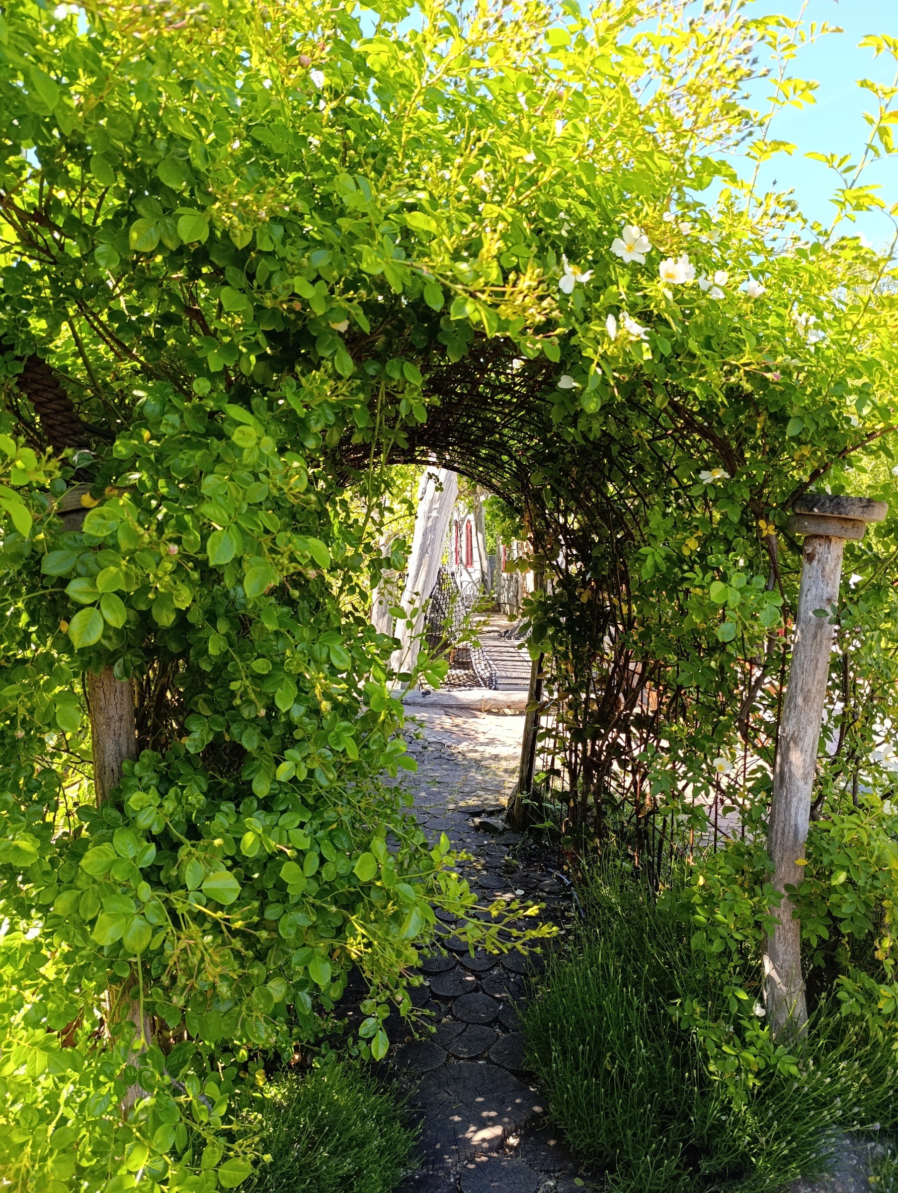 arkaZien in Grimma – Ausflug mit Kindern, Foto 5