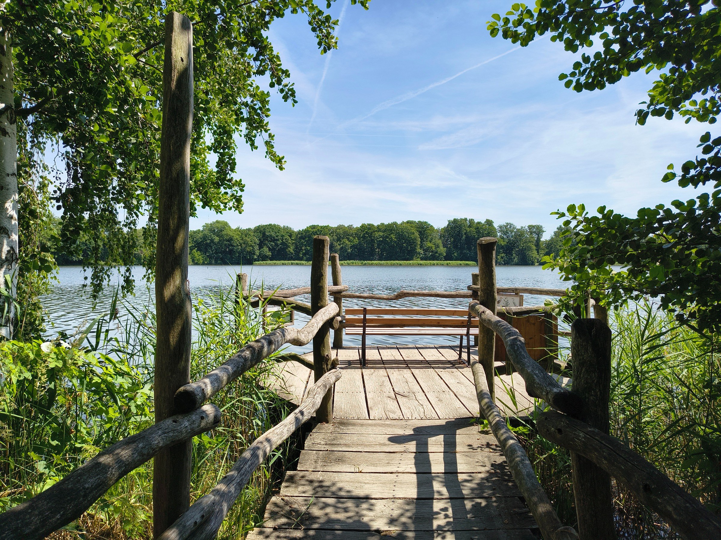 Naturerlebnispfad Oberlausitzer Teiche – Ausflug mit Kindern, Foto 7