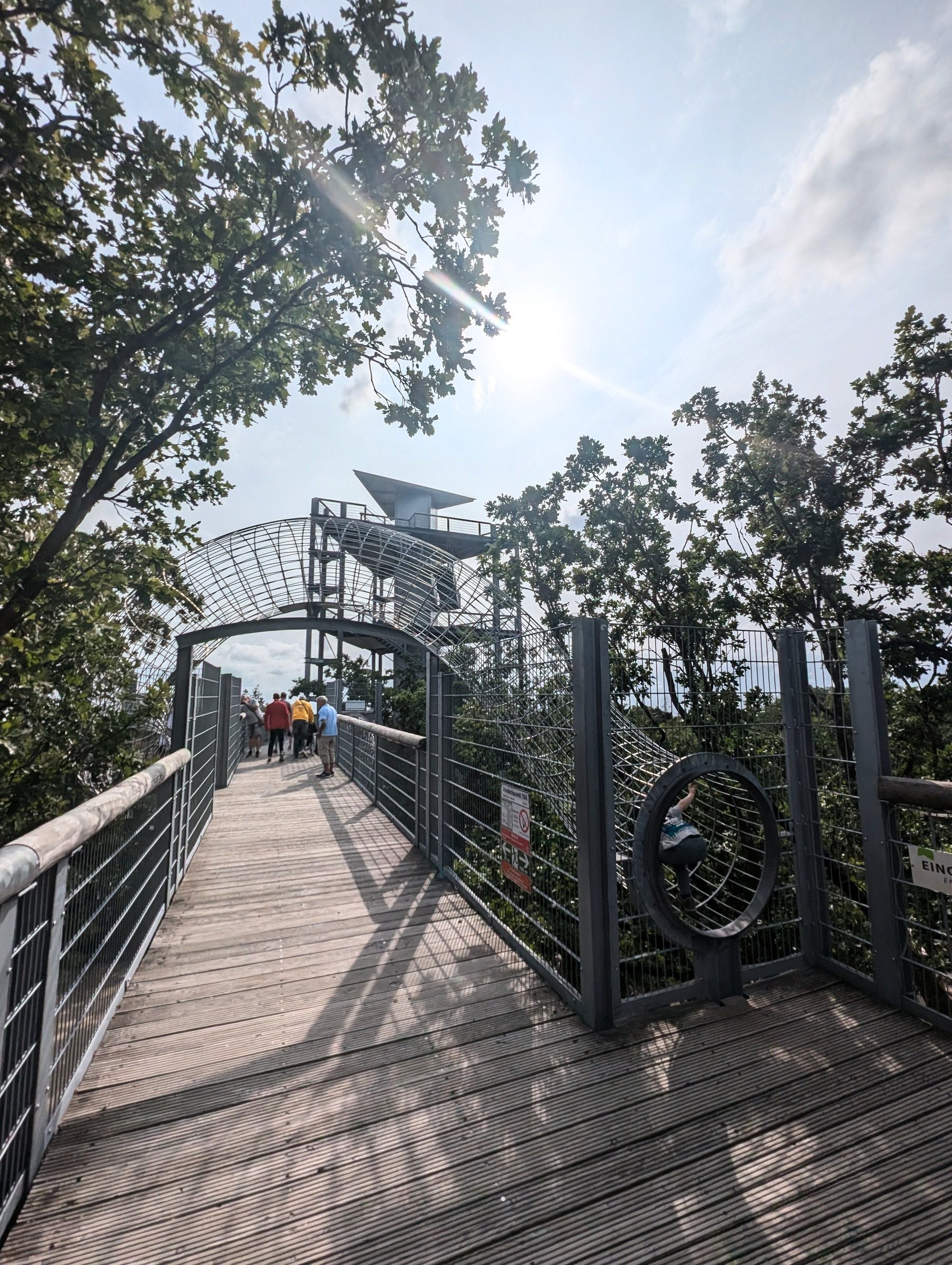 Baumkronenpfad Beelitz – Ausflug mit Kindern, Foto 6