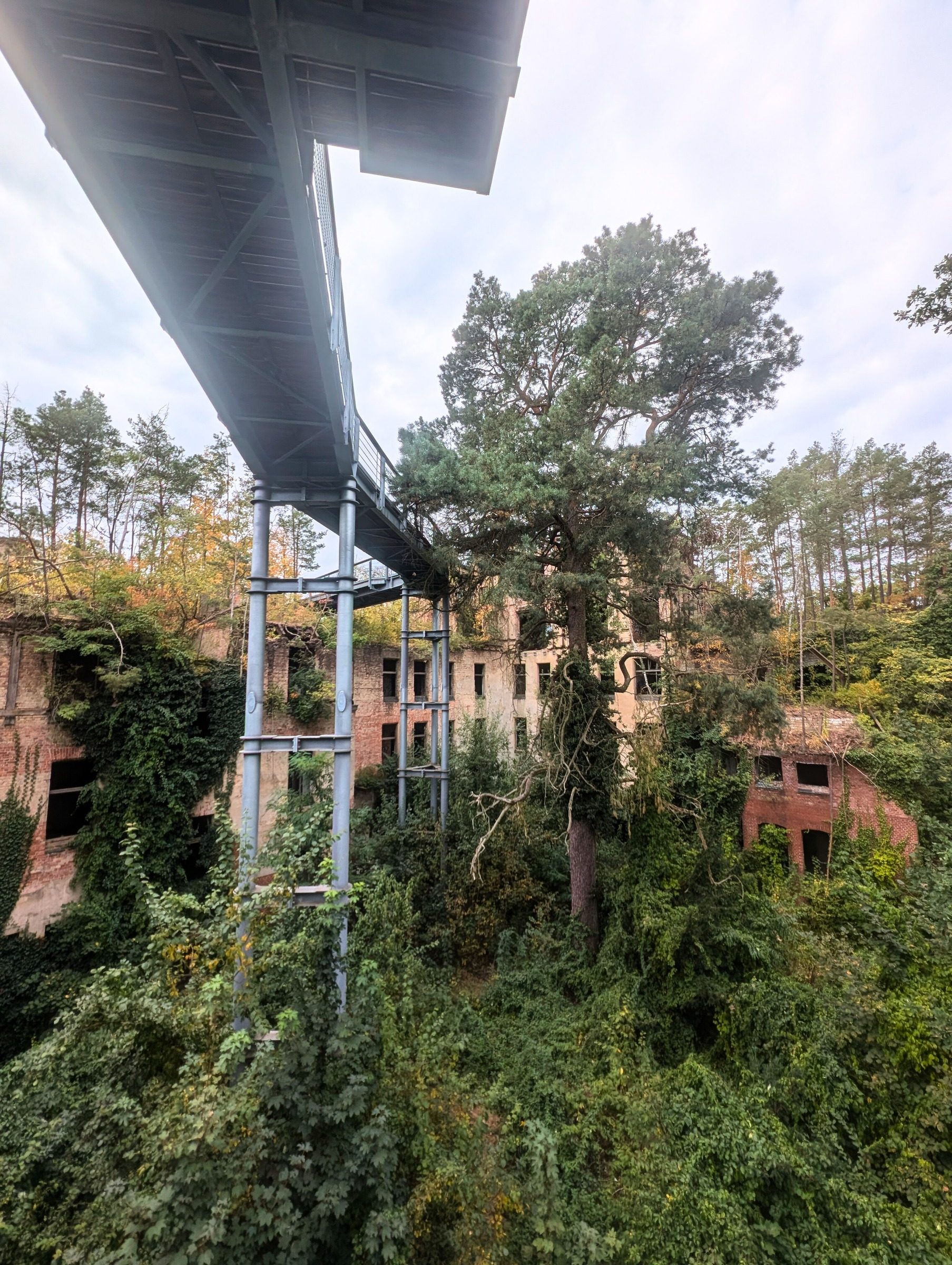 Baumkronenpfad Beelitz – Ausflug mit Kindern, Foto 10