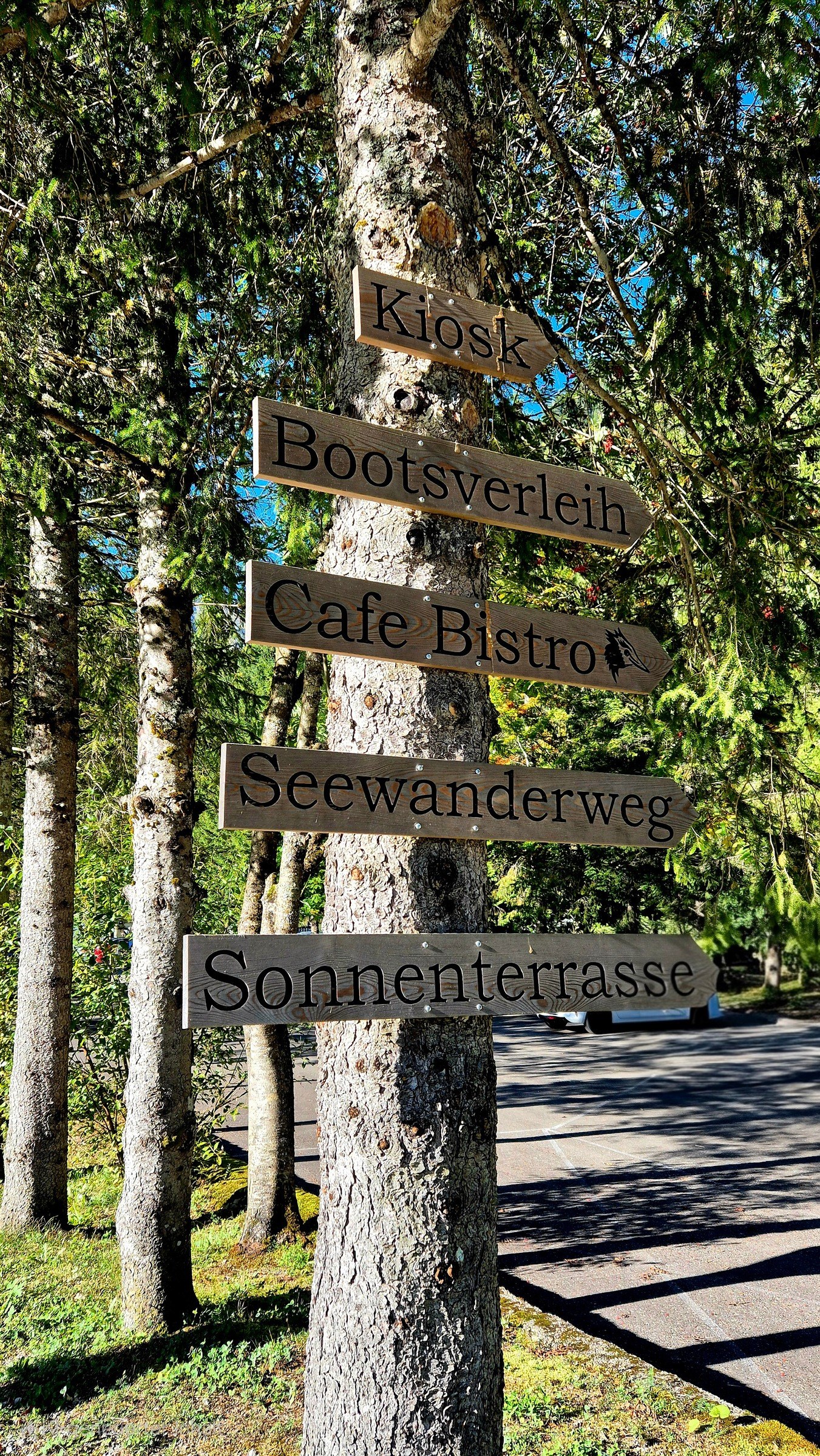 Ein traumhafter Tag am Vilsalpsee – Ausflug mit Kindern, Foto 5