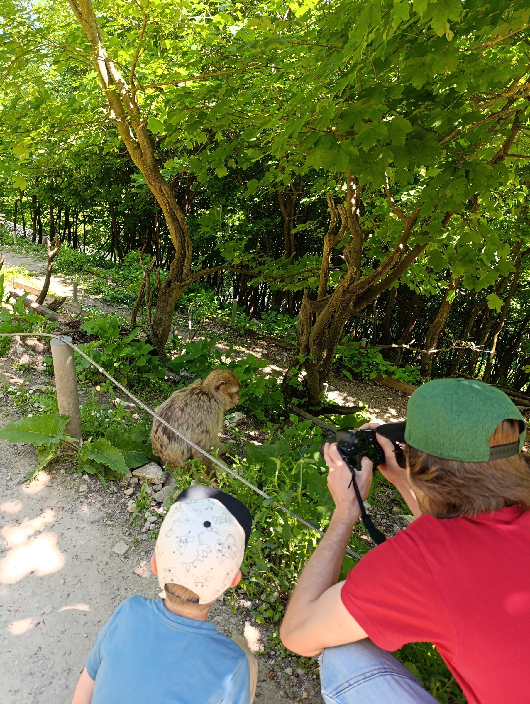 Affenwald Straußberg in Sondershausen – Ausflug mit Kindern, Foto 3