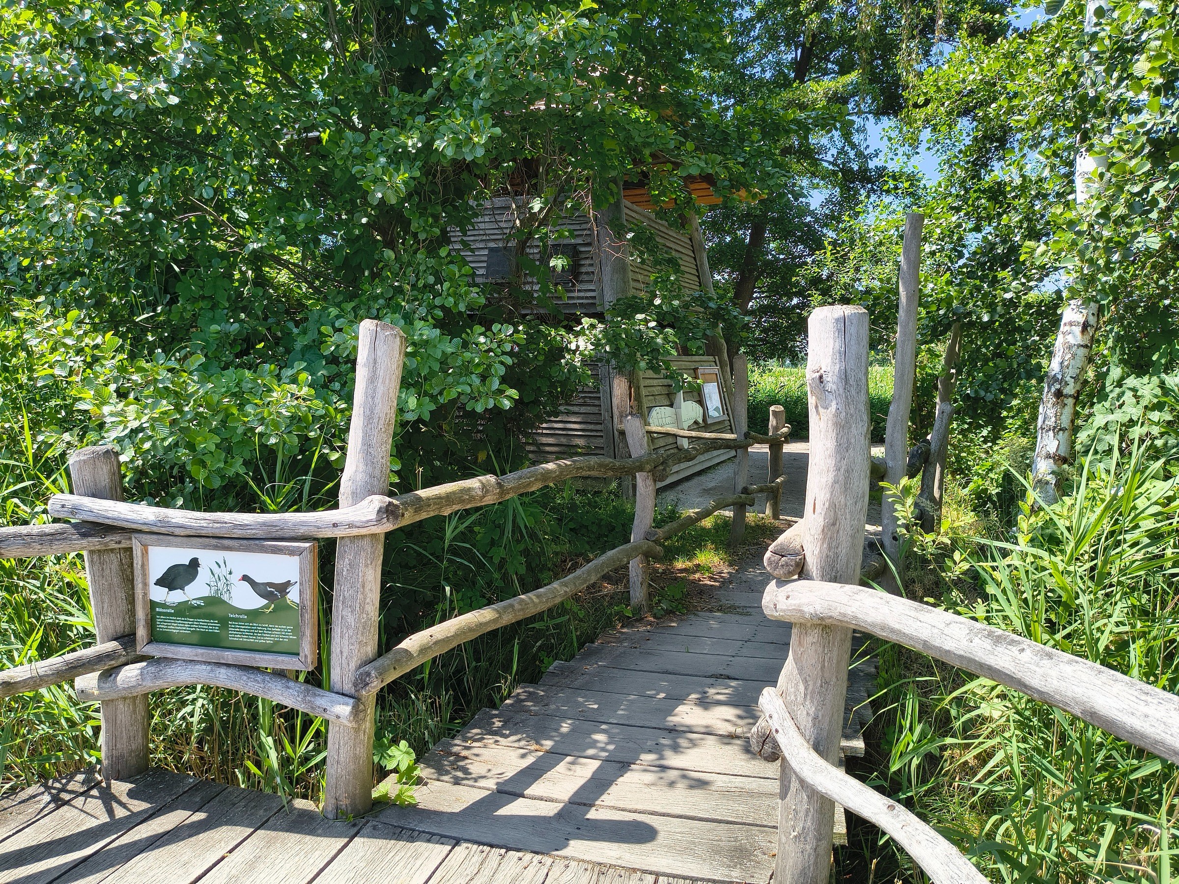 Naturerlebnispfad Oberlausitzer Teiche – Ausflug mit Kindern, Foto 8