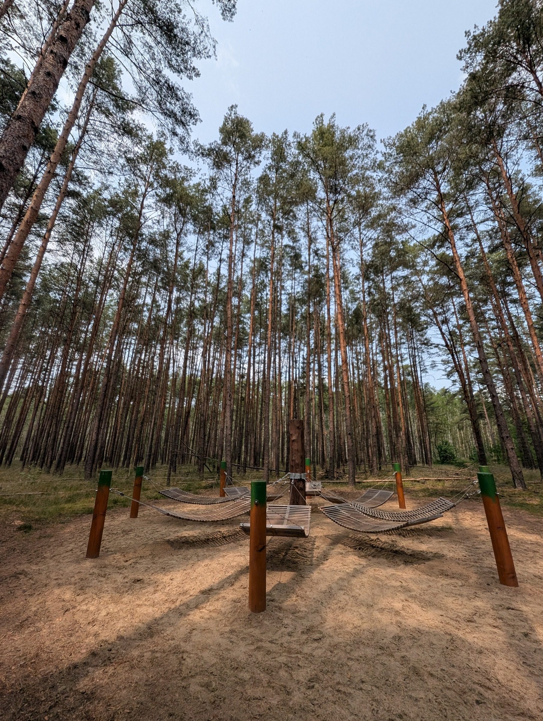 Barfußpark Beelitz-Heilstätten – Ausflug mit Kindern, Foto 5