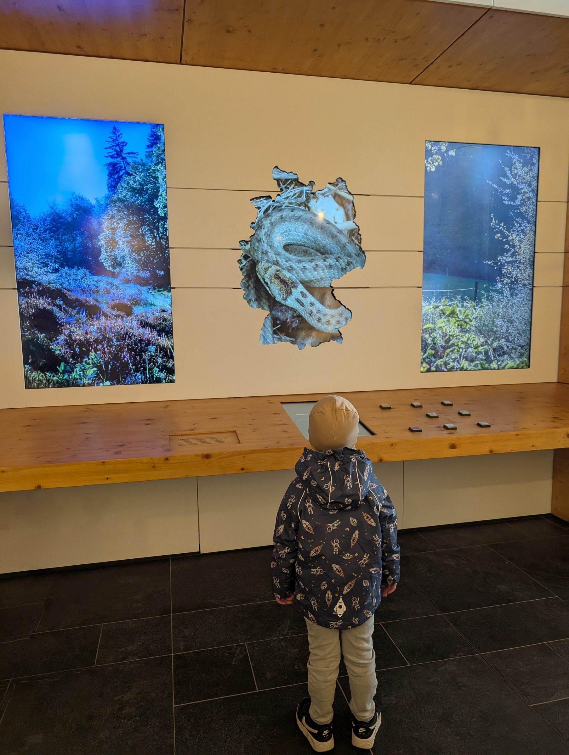 Erlebnisausstellung – Naturerbe Prora – Ausflug mit Kindern, Foto 2