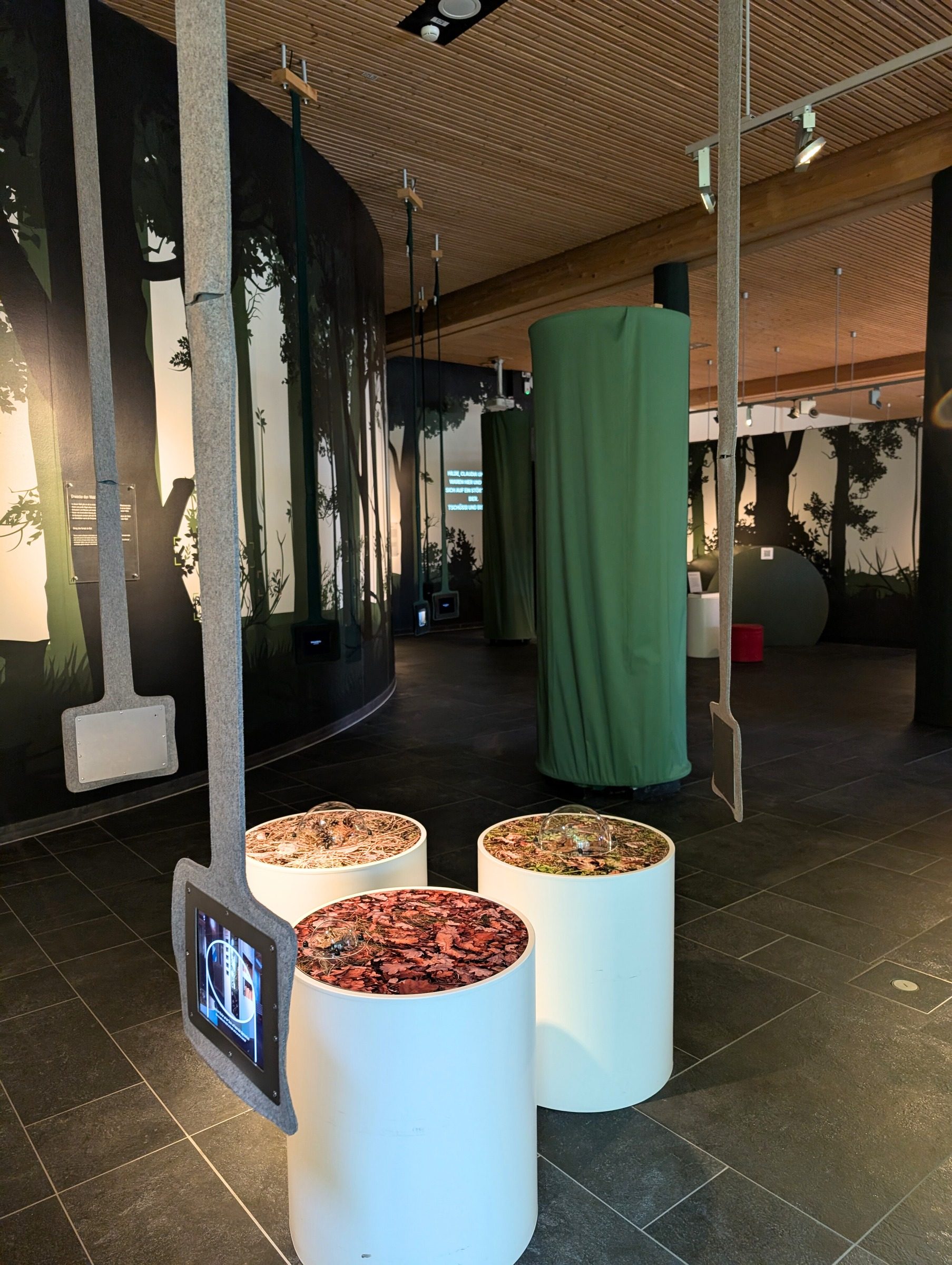 Erlebnisausstellung – Naturerbe Prora – Ausflug mit Kindern, Foto 4