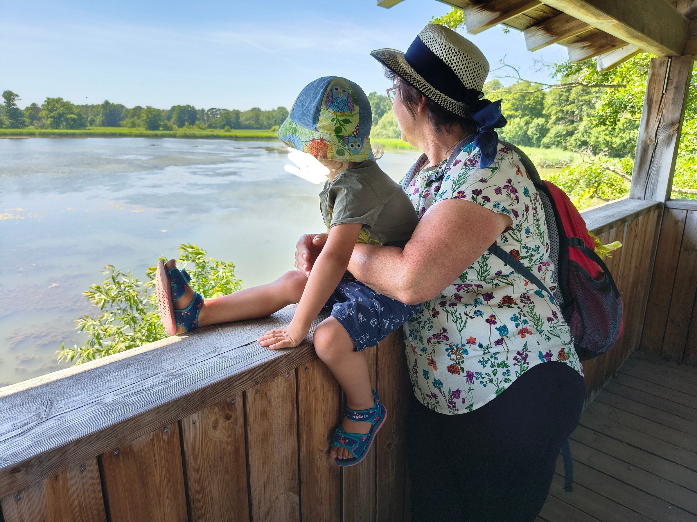 Naturerlebnispfad Oberlausitzer Teiche – Ausflug mit Kindern, Foto 9