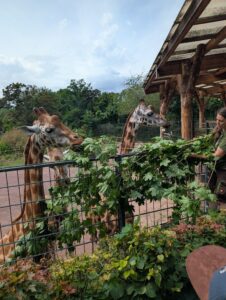 Zoo Magdeburg