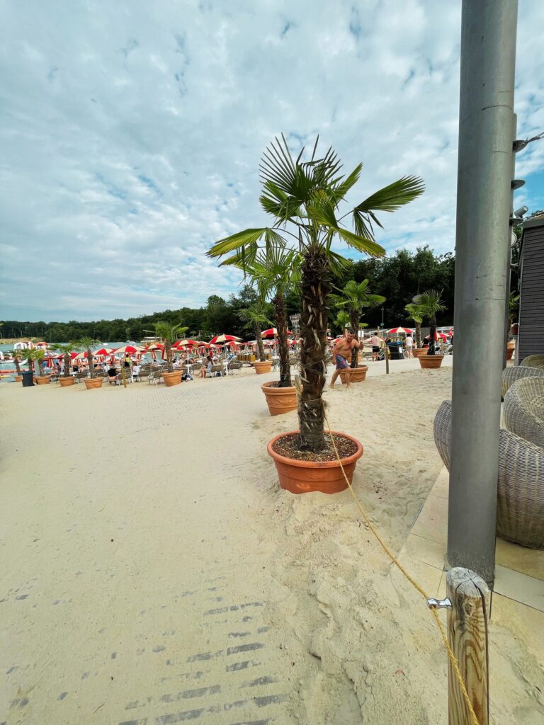 Pinta Beach in Raunheim