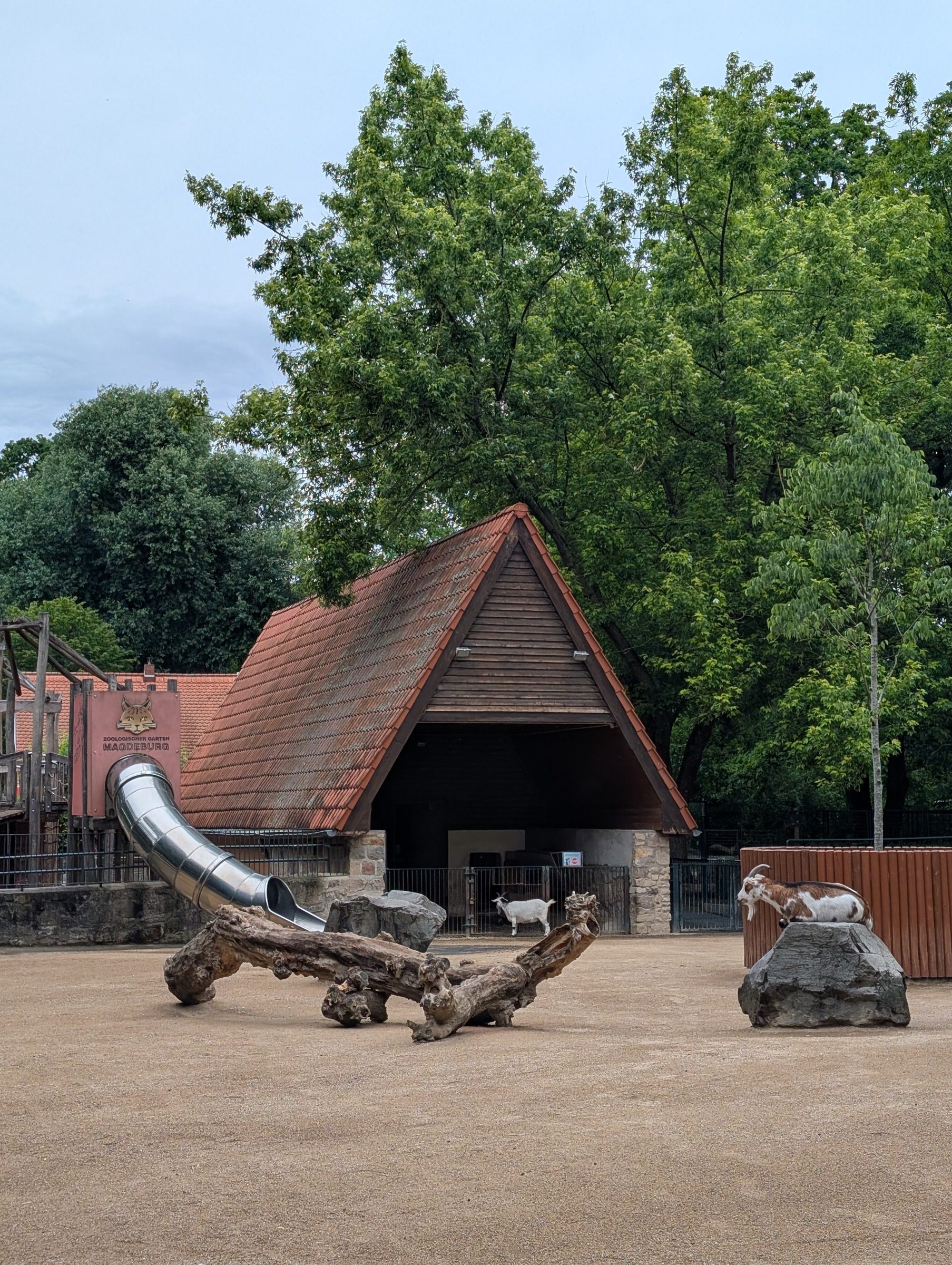 Zoo Magdeburg – Ausflug mit Kindern, Foto 4