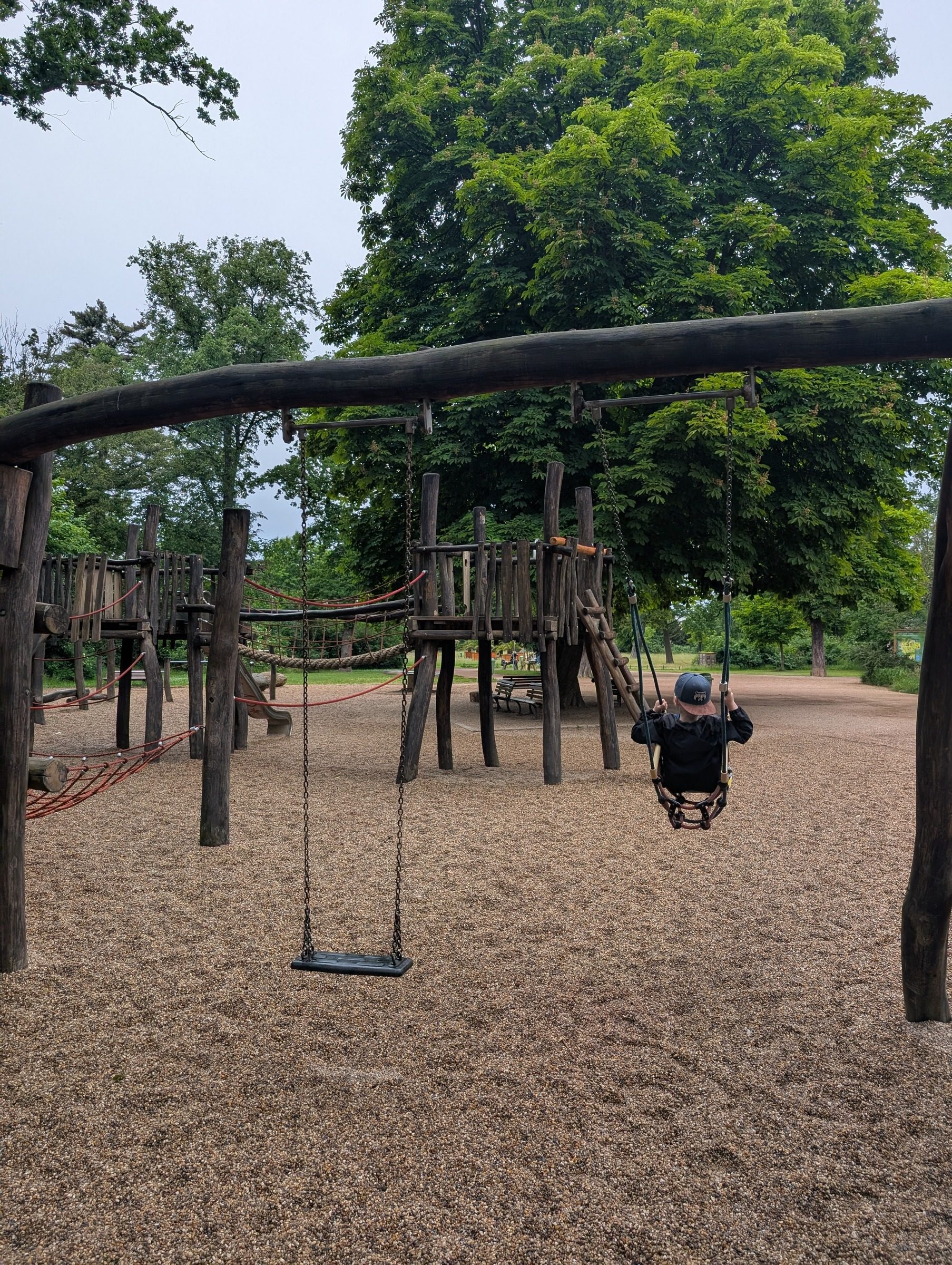 Zoo Magdeburg – Ausflug mit Kindern, Foto 5