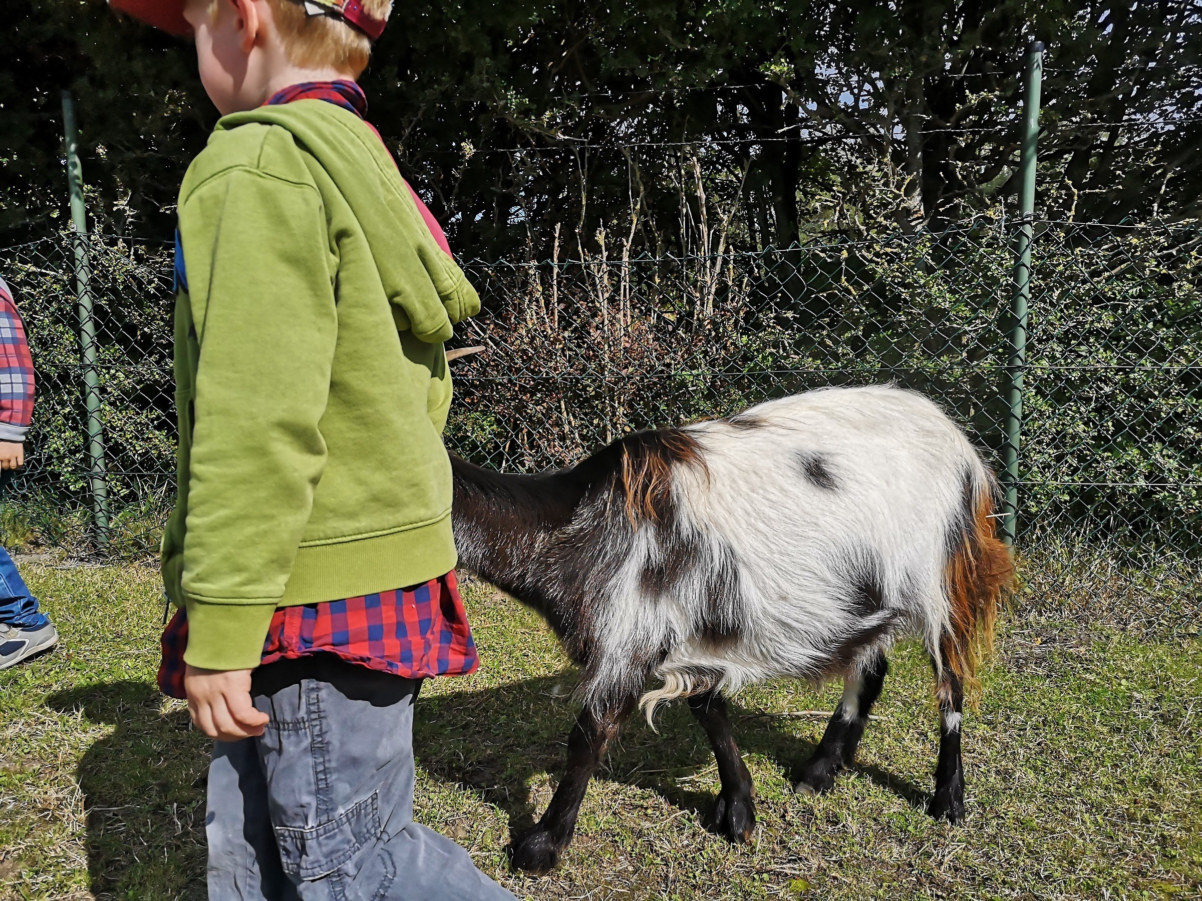 Boerderij Westerpark in Amsterdam – Ausflug mit Kindern, Foto 3
