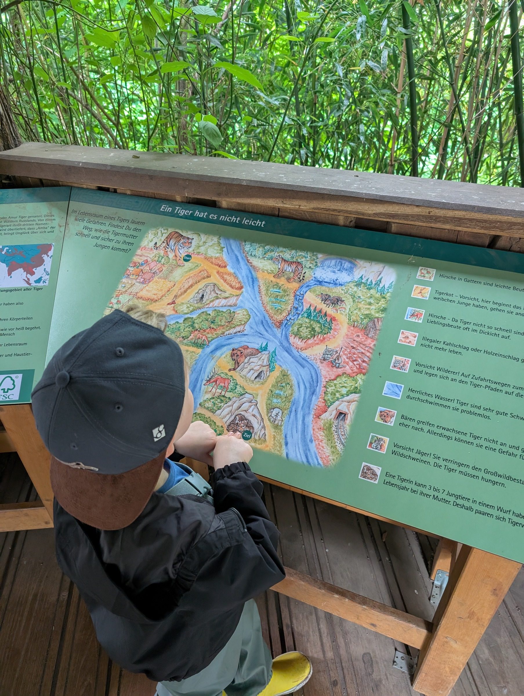 Zoo Magdeburg – Ausflug mit Kindern, Foto 6