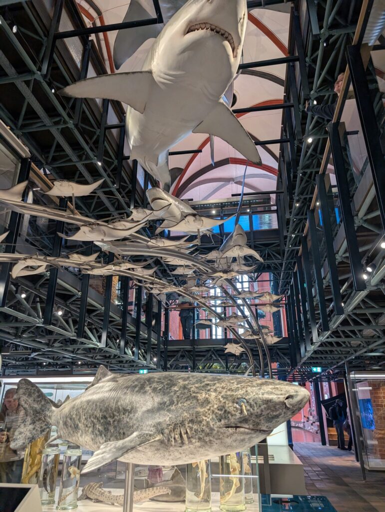 Meeresmuseum Stralsund