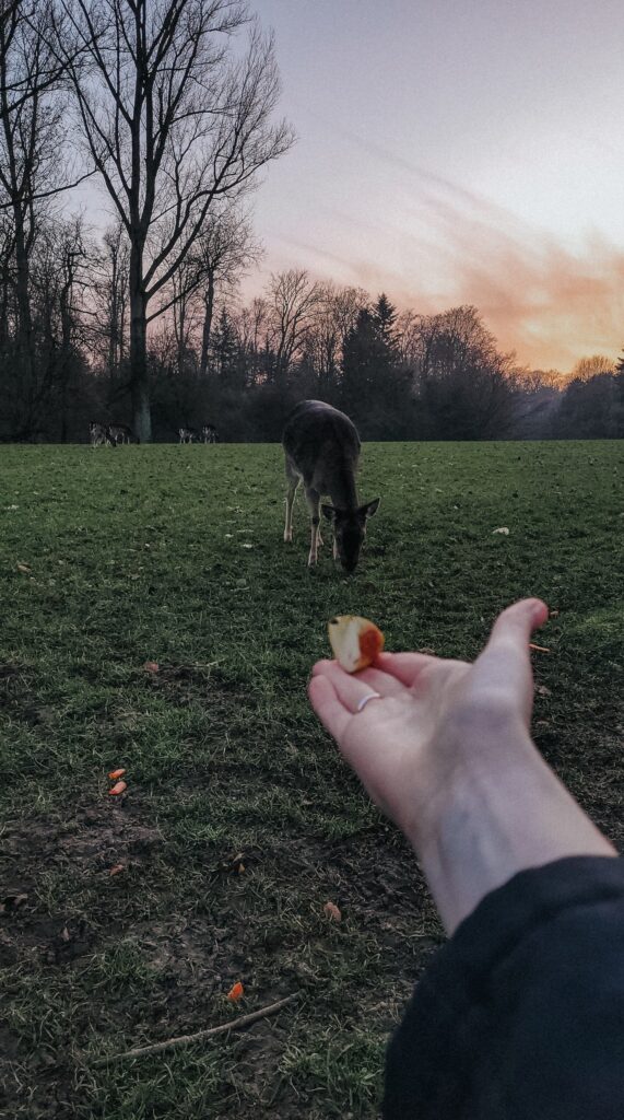 Wildpark Grafenberg in Düsseldorf