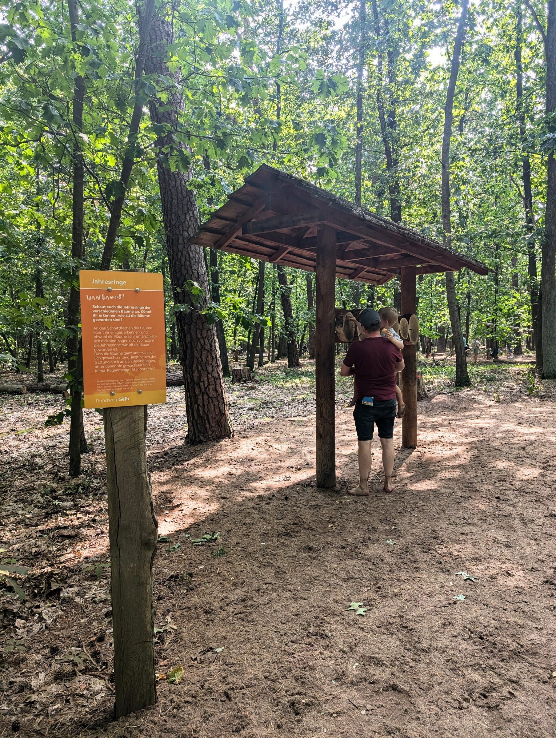 Barfußpark Beelitz-Heilstätten – Ausflug mit Kindern, Foto 7
