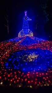 Lichterzauber auf der Insel Mainau