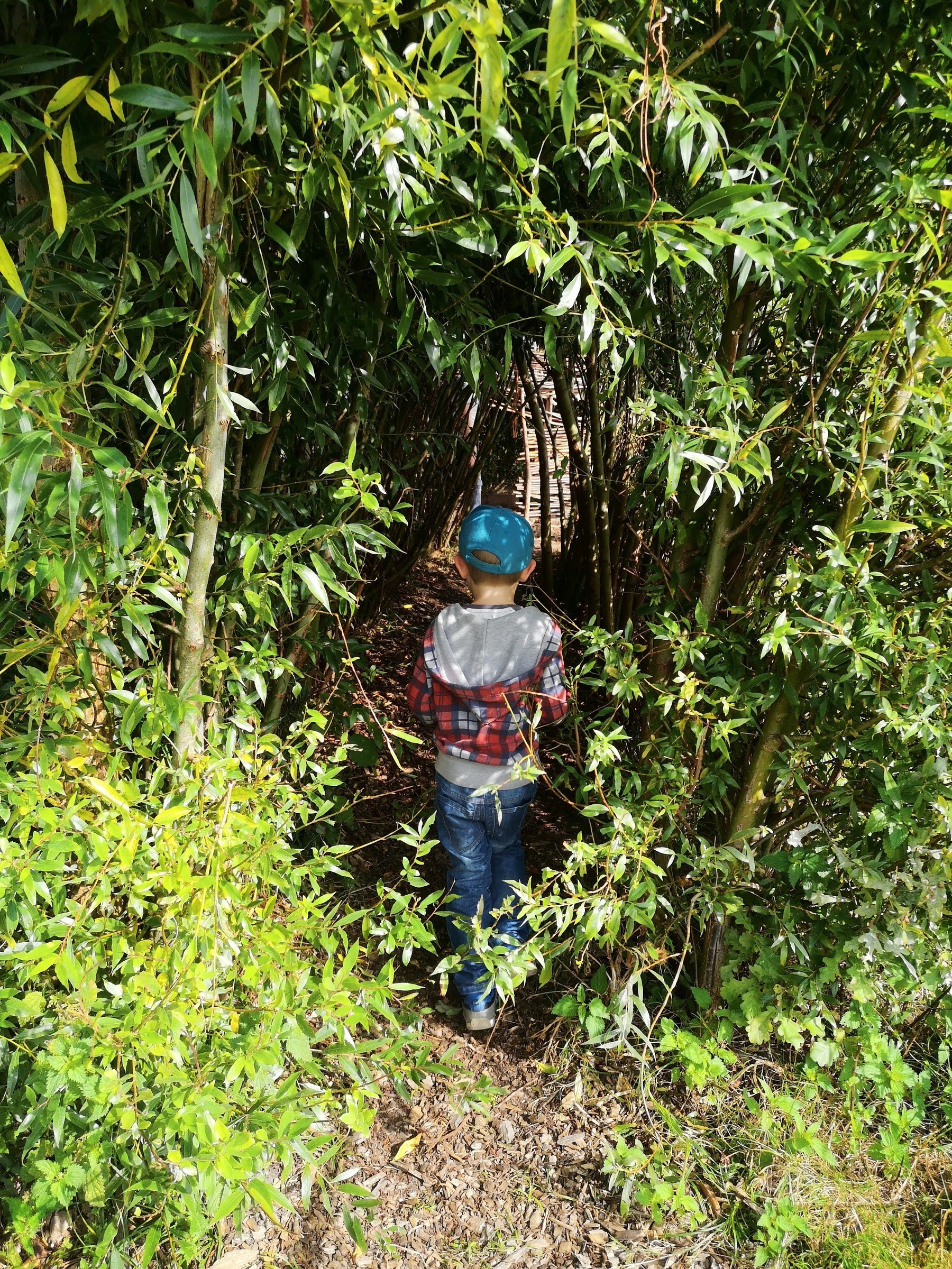 Boerderij Westerpark in Amsterdam – Ausflug mit Kindern, Foto 6