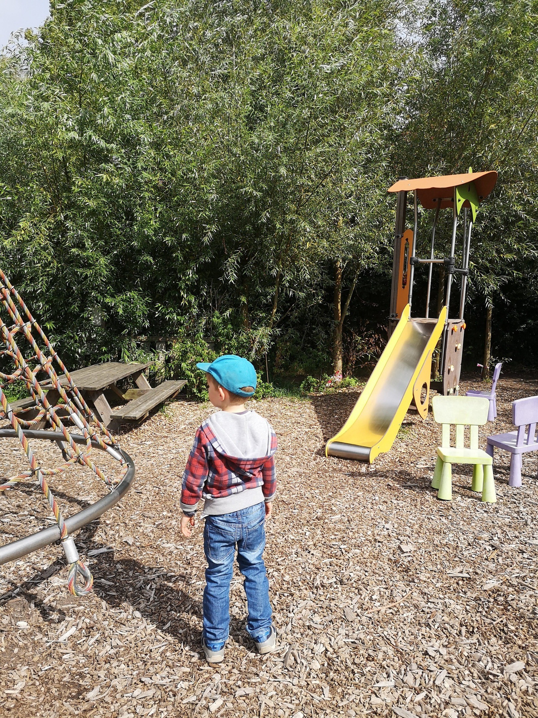 Boerderij Westerpark in Amsterdam – Ausflug mit Kindern, Foto 10