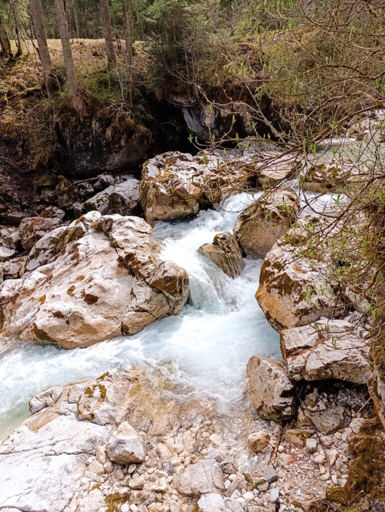 Zauberwald am Hintersee in Ramsau