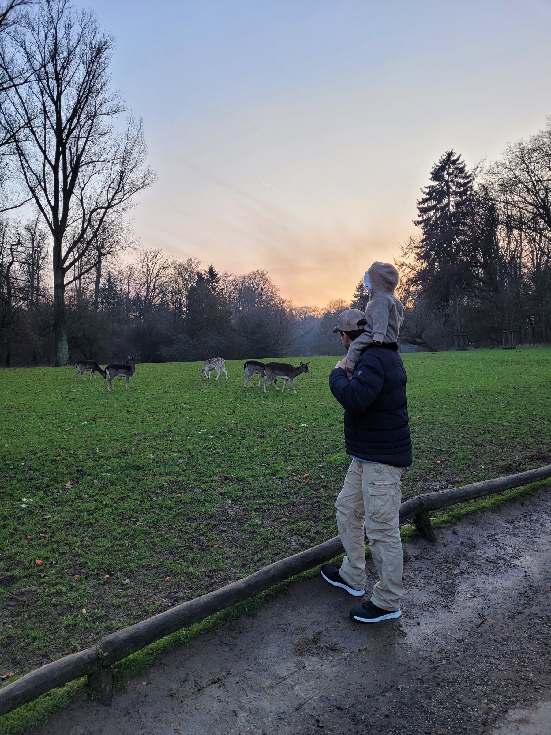 Wildpark Grafenberg in Düsseldorf – Ausflug mit Kindern, Foto 2
