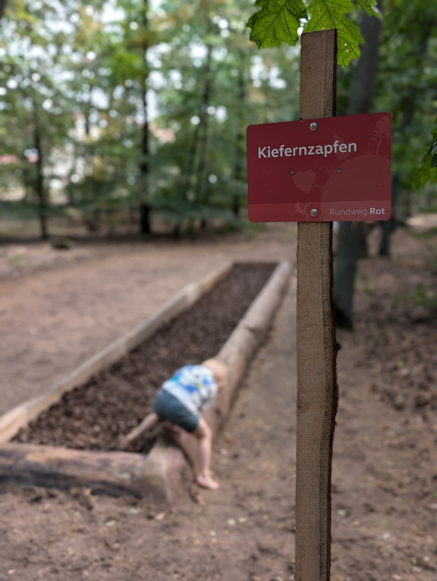 Barfußpark Beelitz-Heilstätten – Ausflug mit Kindern, Foto 8