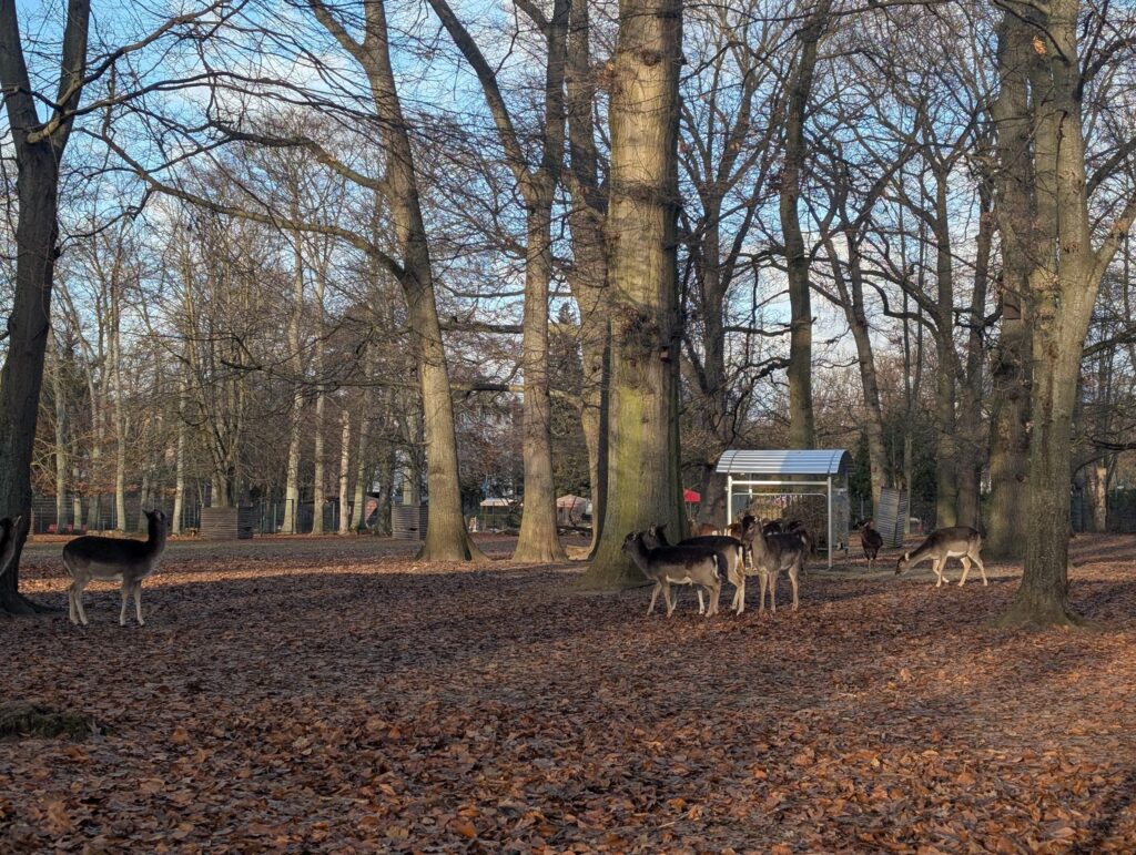 Gemeindepark Lankwitz in Berlin