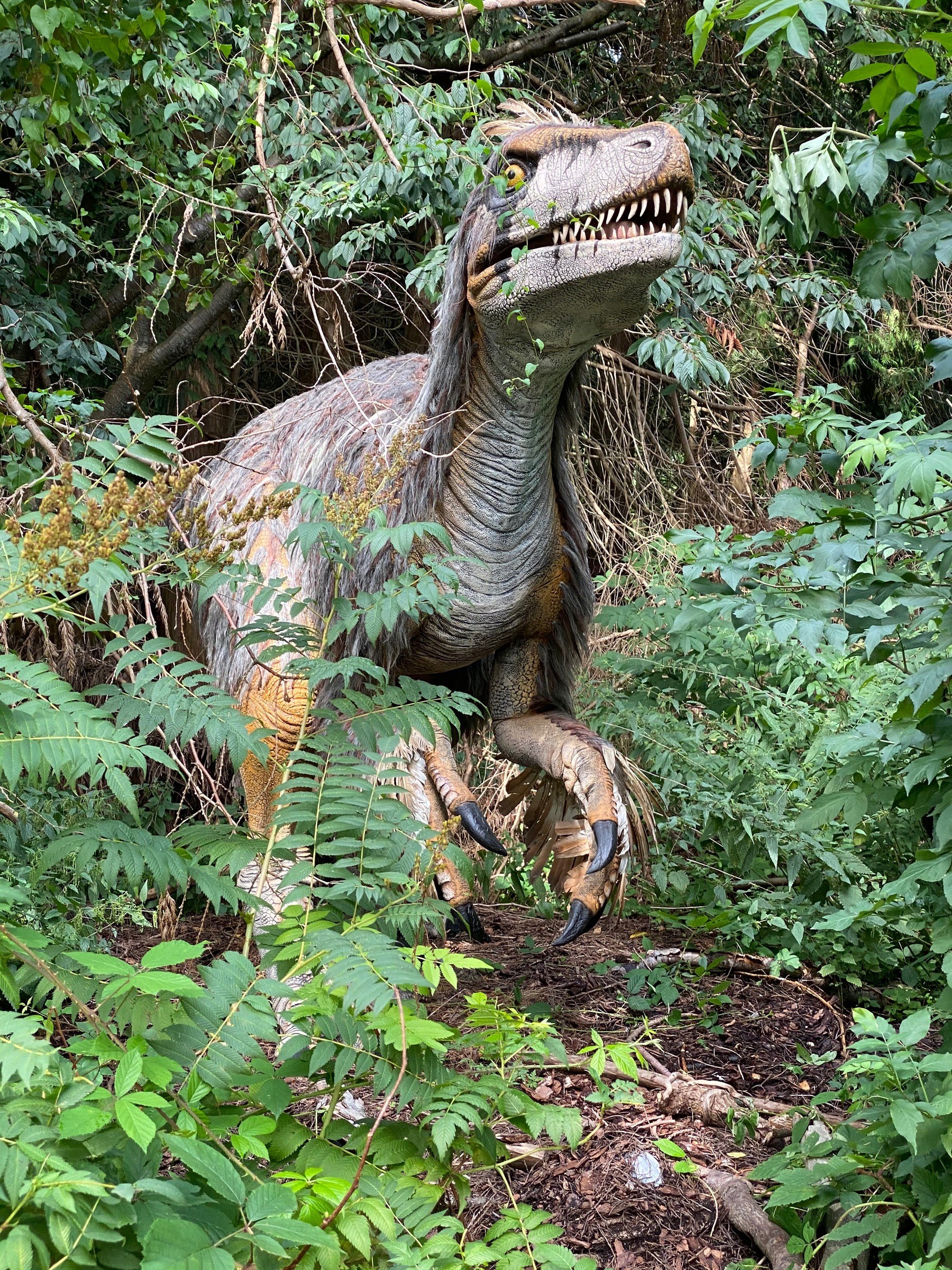 Knuthenborg Safari Park in Maribo – Ausflug mit Kindern, Foto 5