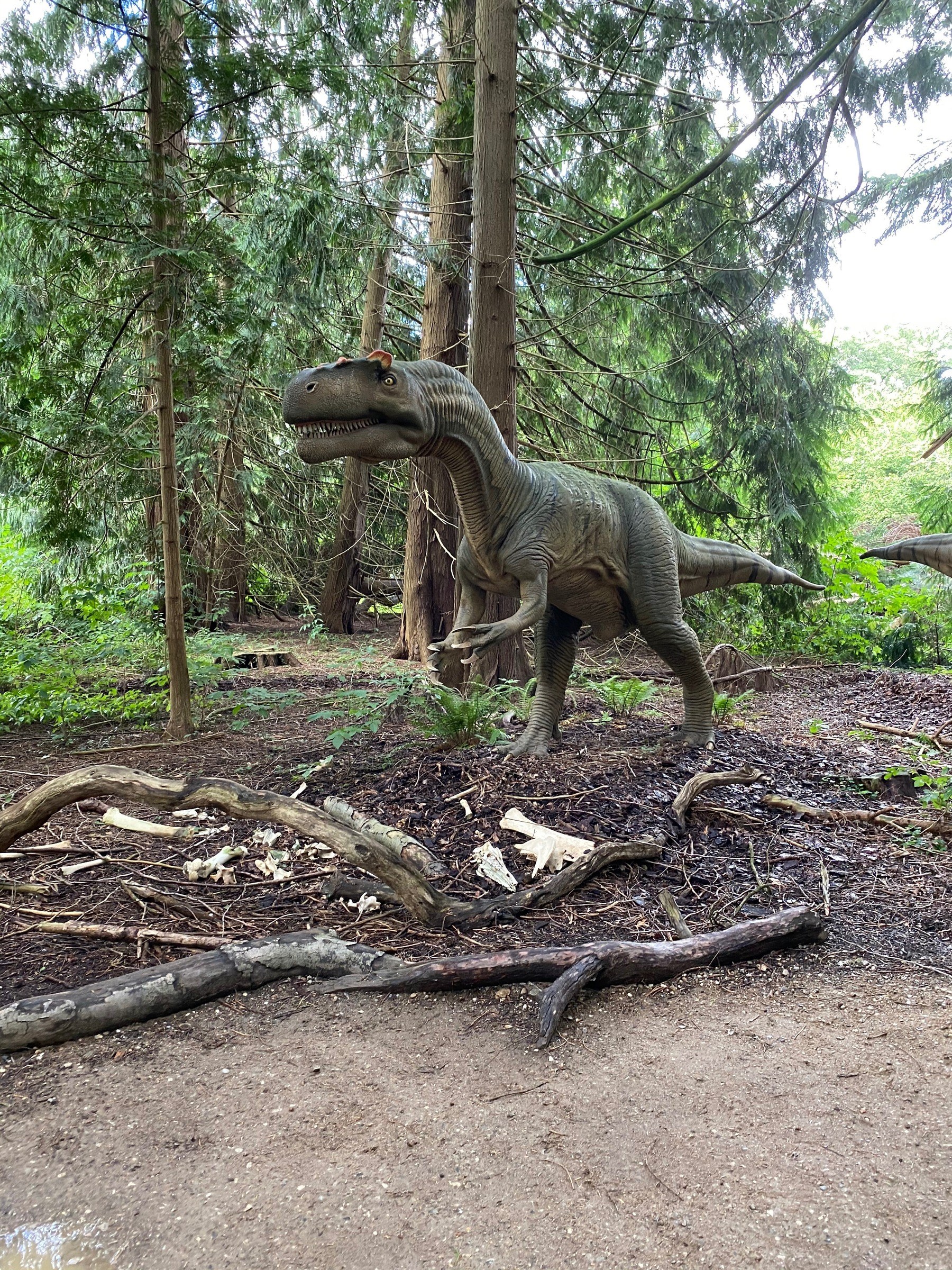 Knuthenborg Safari Park in Maribo – Ausflug mit Kindern, Foto 6